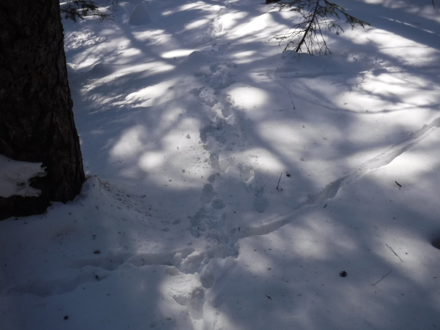 DSCF1200.JPG