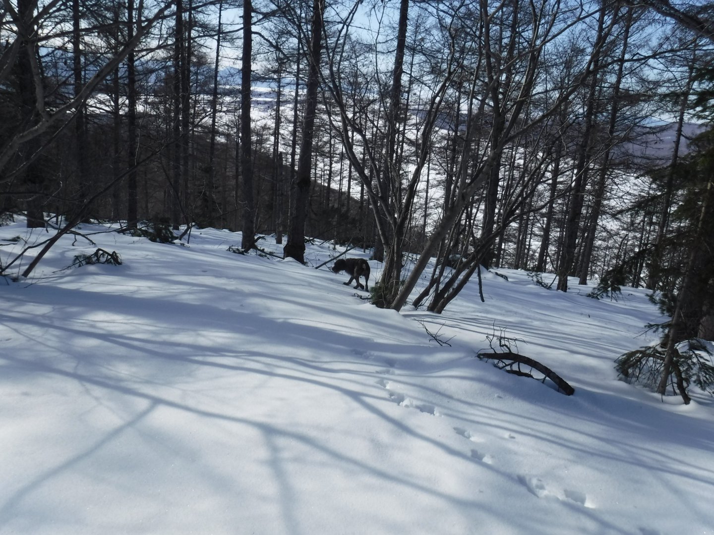 DSCF1204.JPG