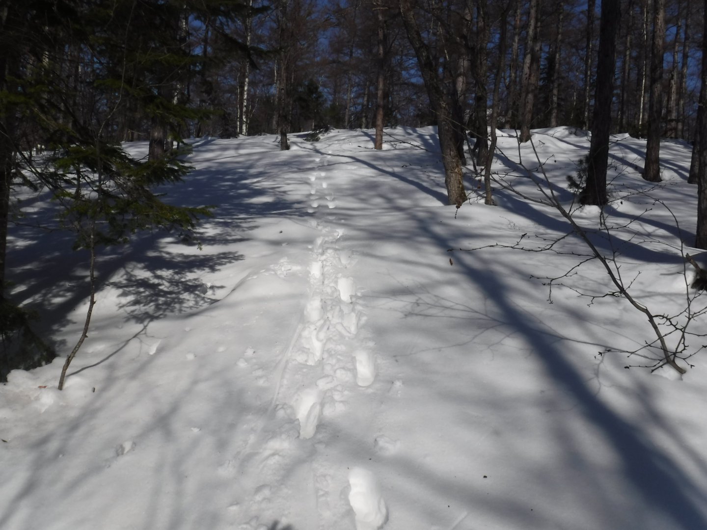 DSCF1208.JPG