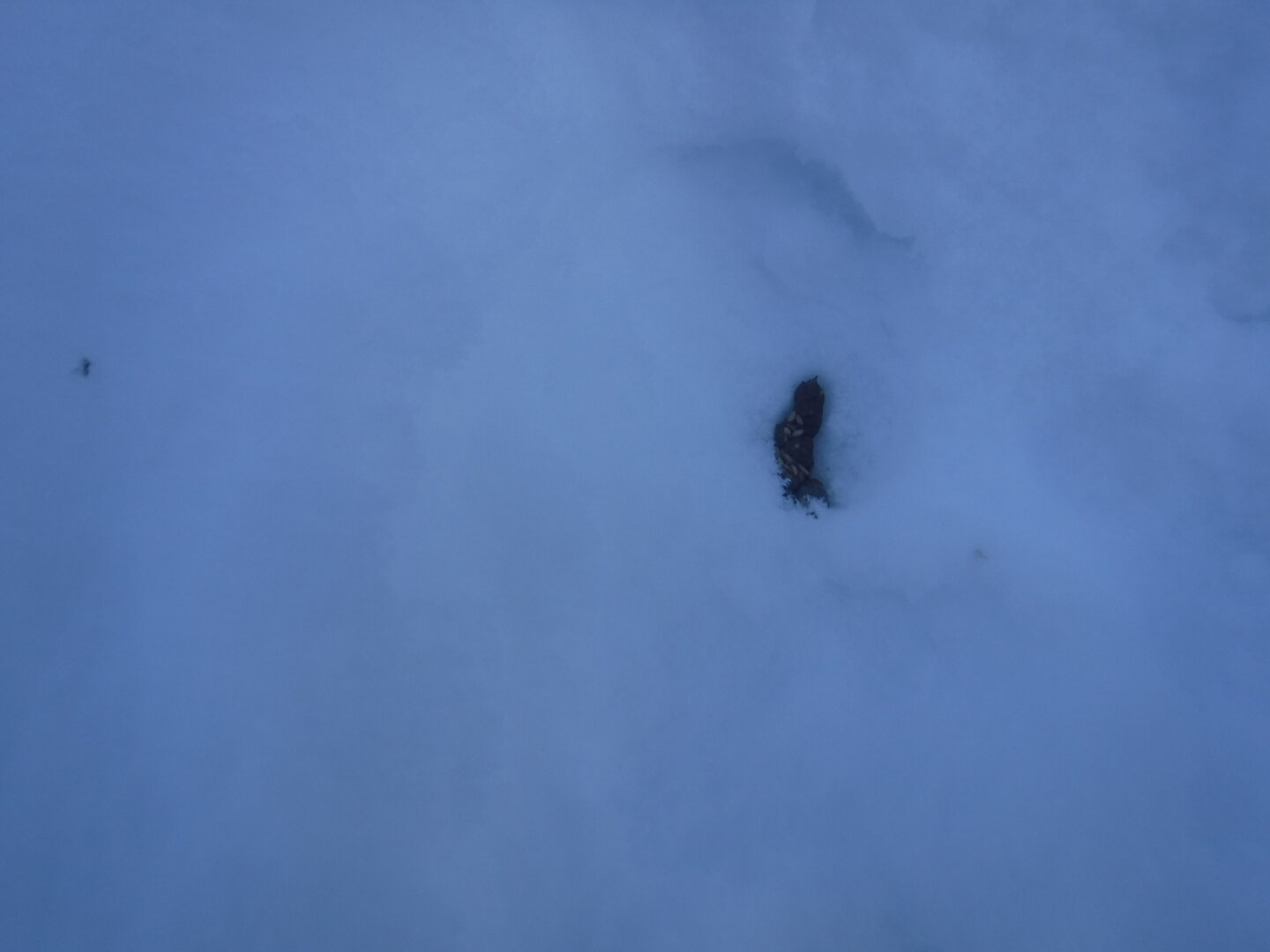 DSCF1208.JPG