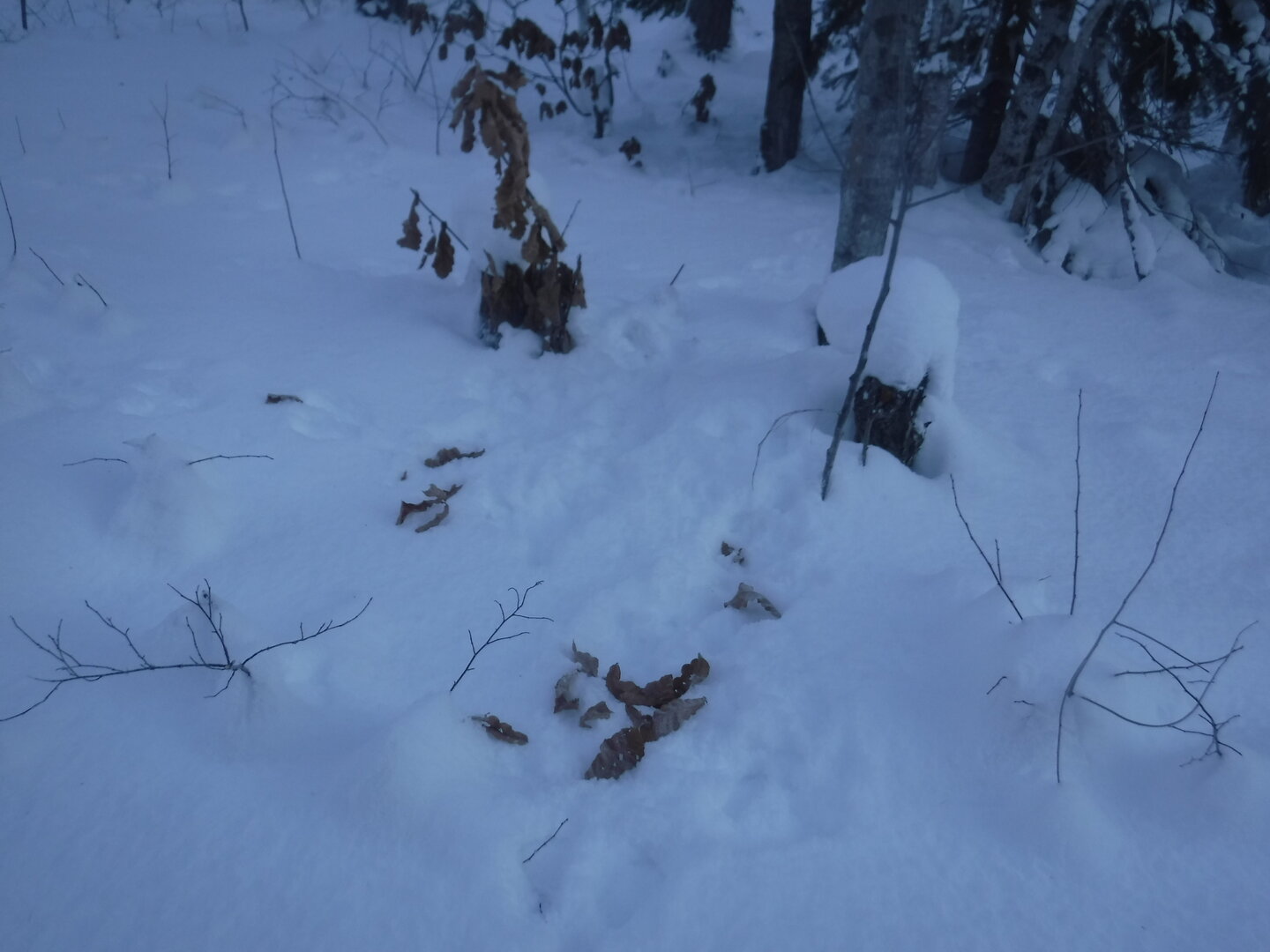 DSCF1209.JPG