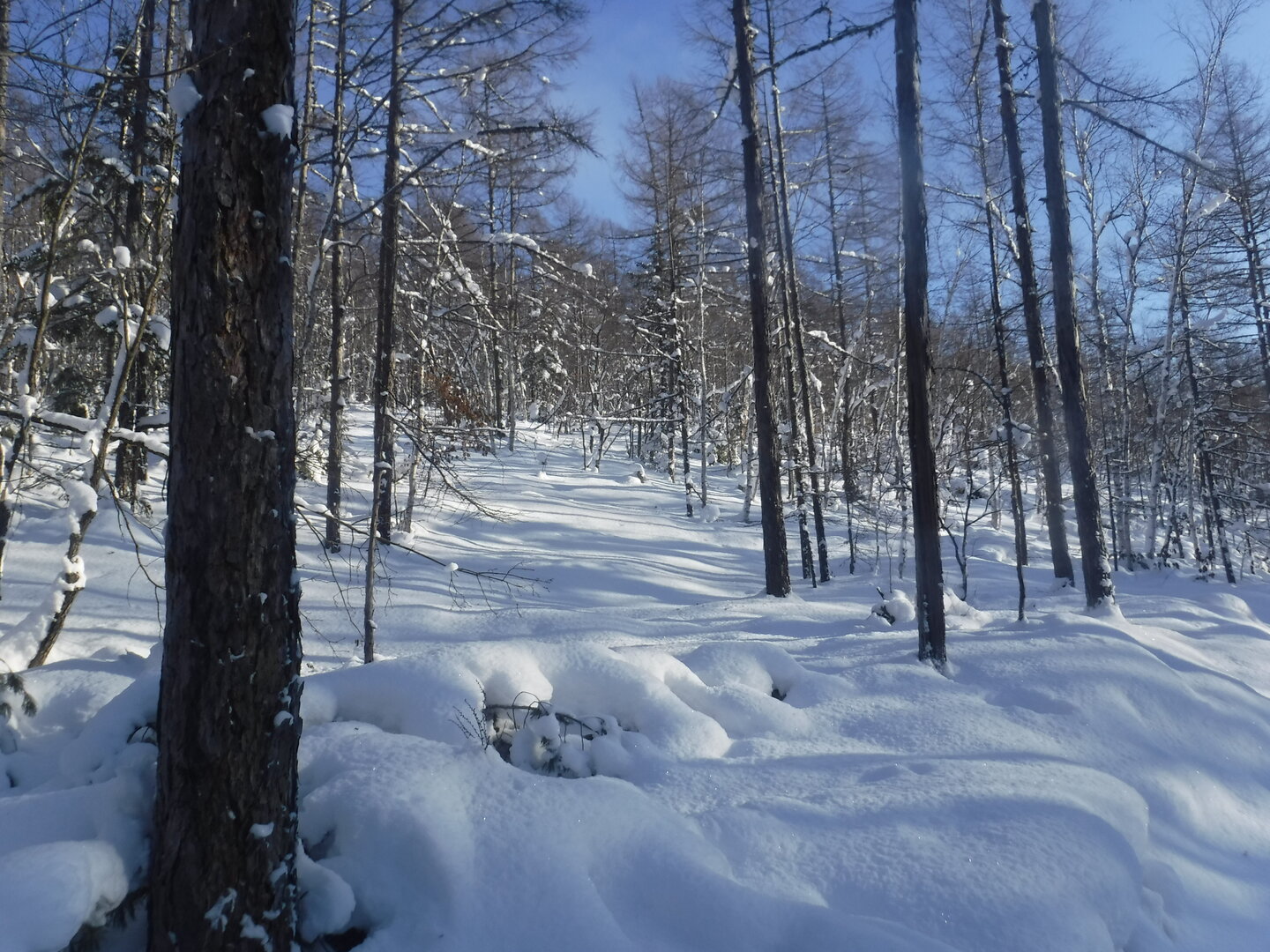 DSCF1211.JPG