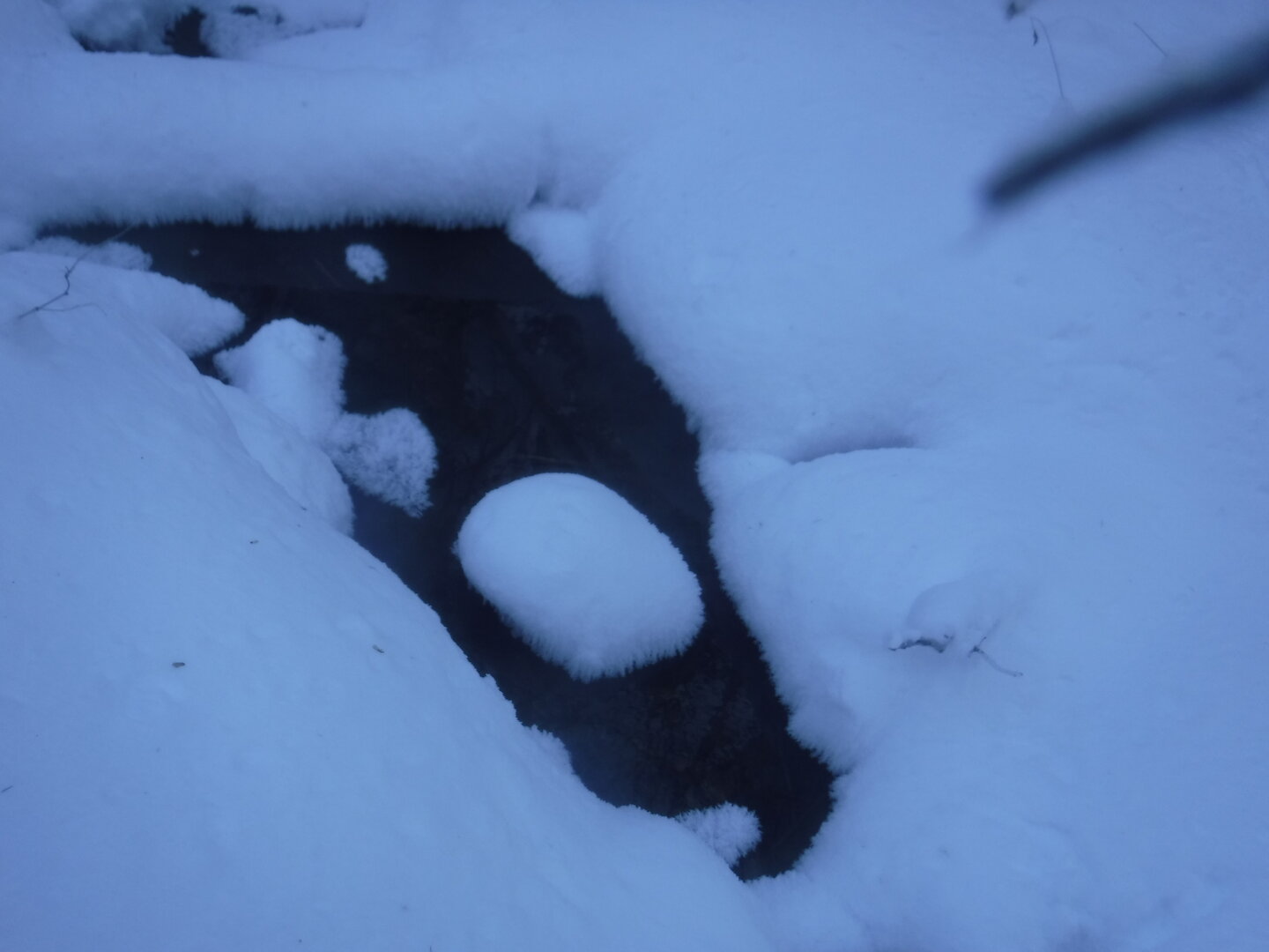 DSCF1214.JPG