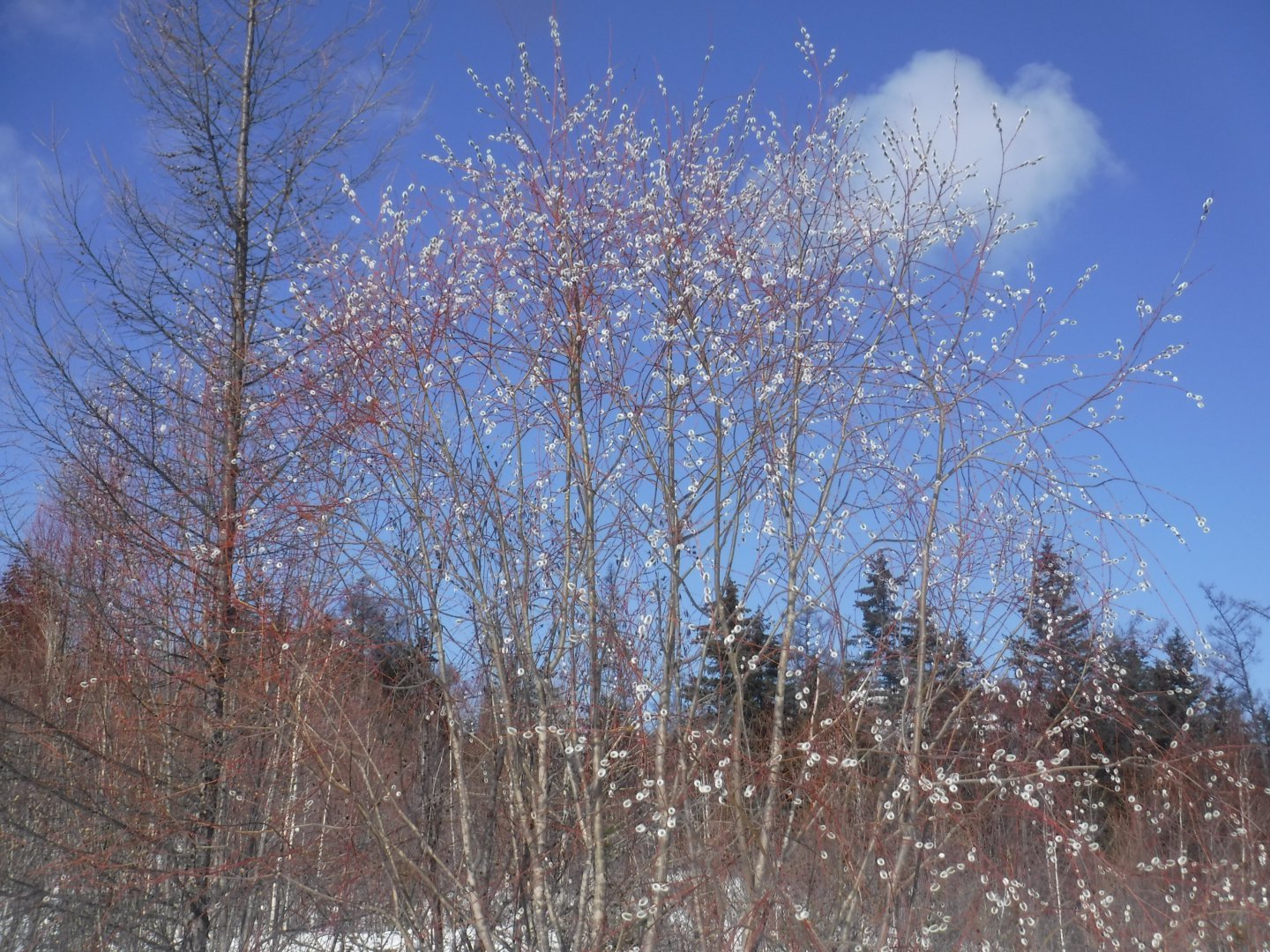 DSCF1215.JPG