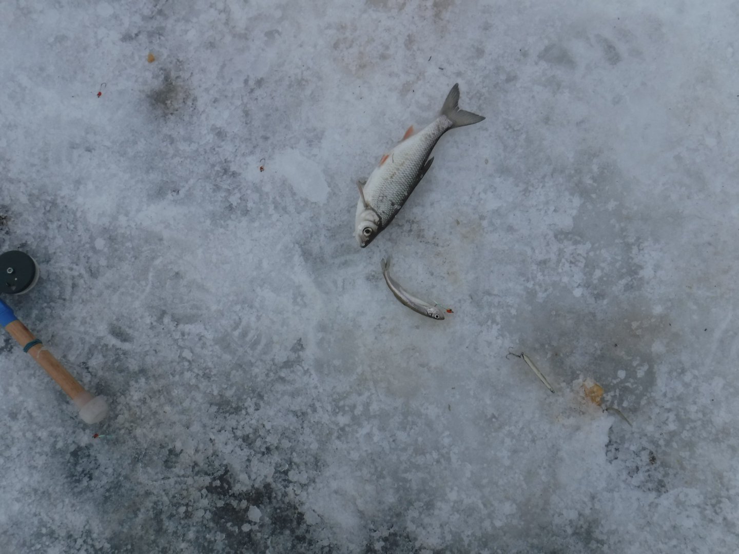 DSCF1218.JPG