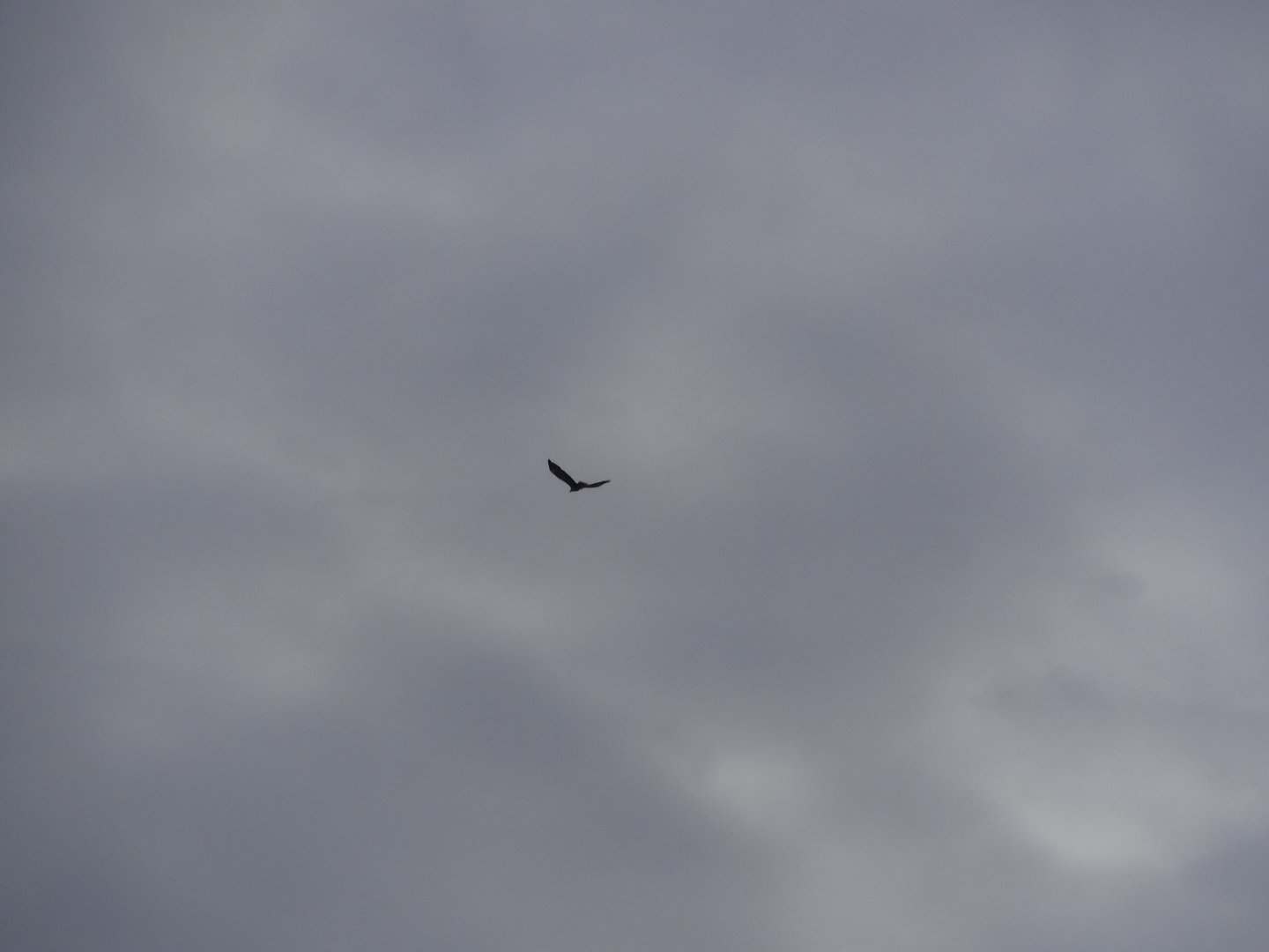 DSCF1221.JPG