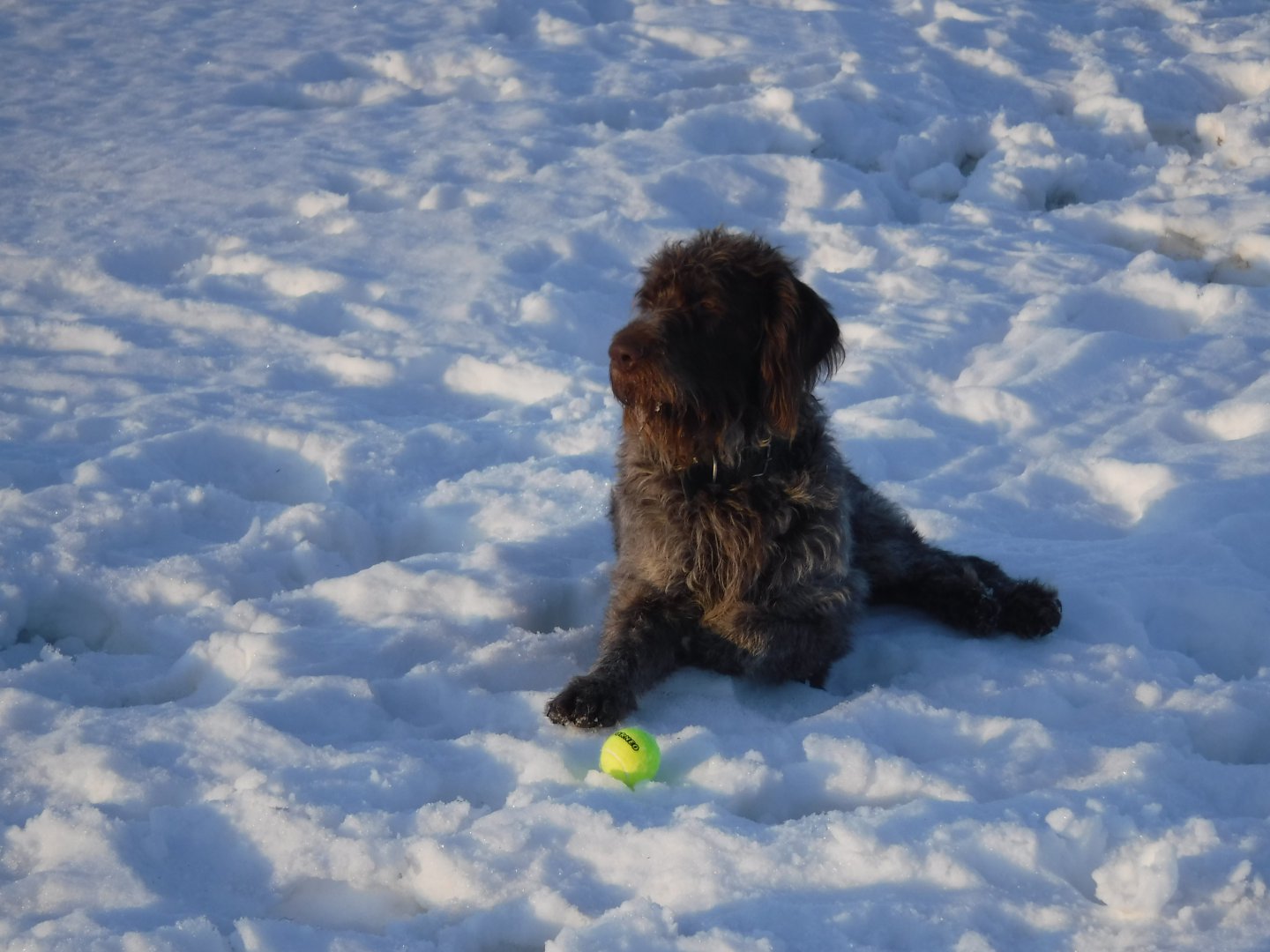 DSCF1228.JPG