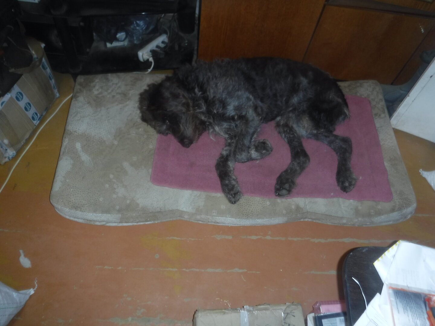 DSCF1231.JPG