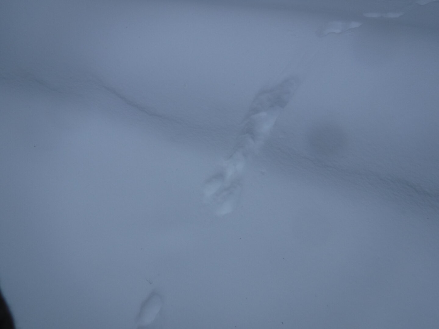 DSCF1235.JPG