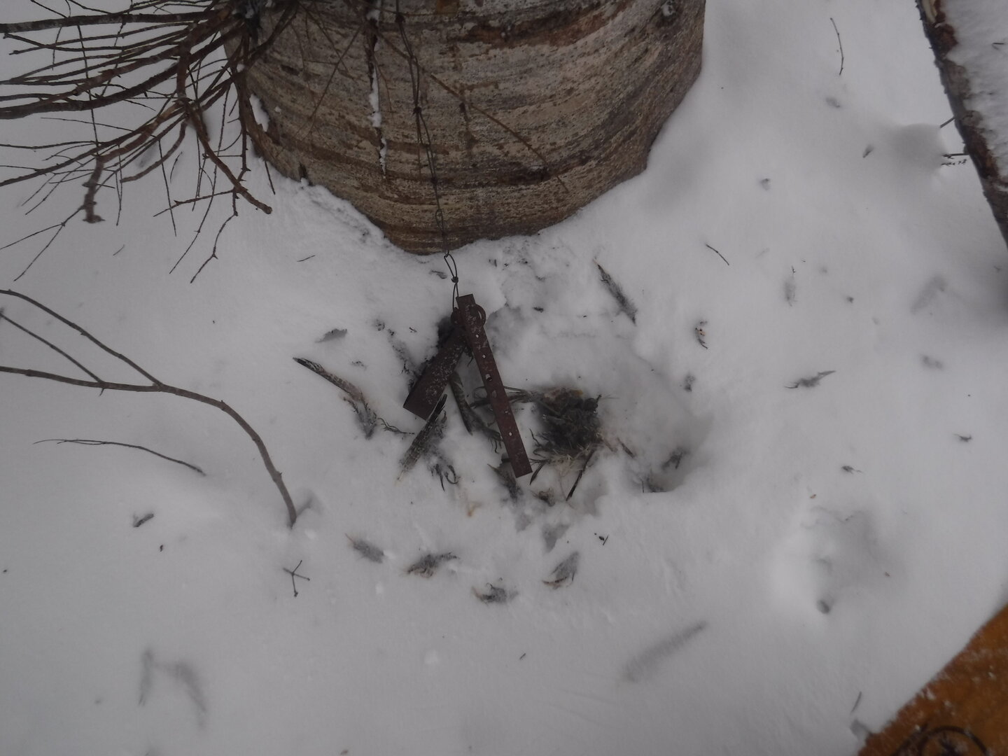 DSCF1237.JPG