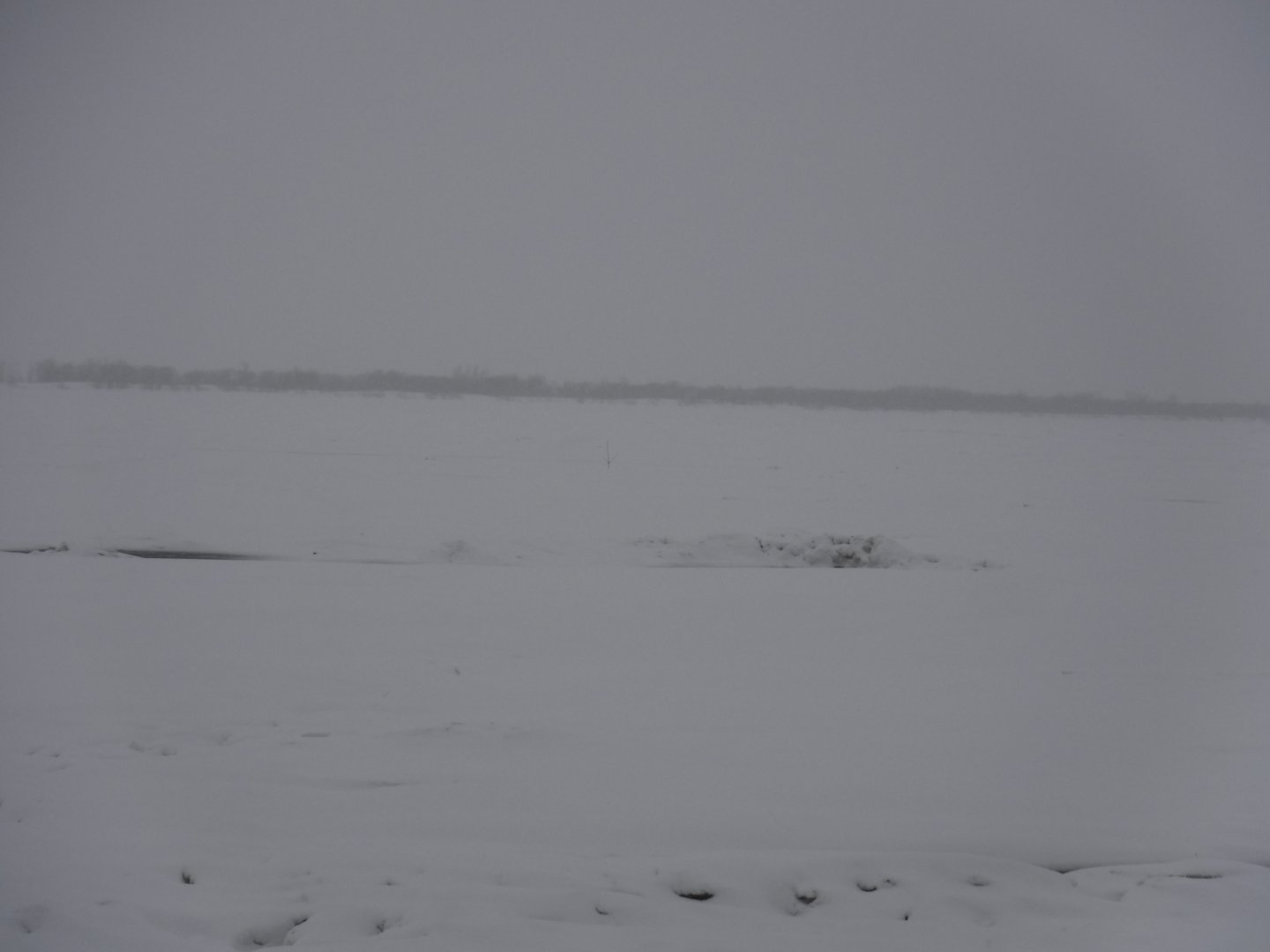 DSCF1248.JPG