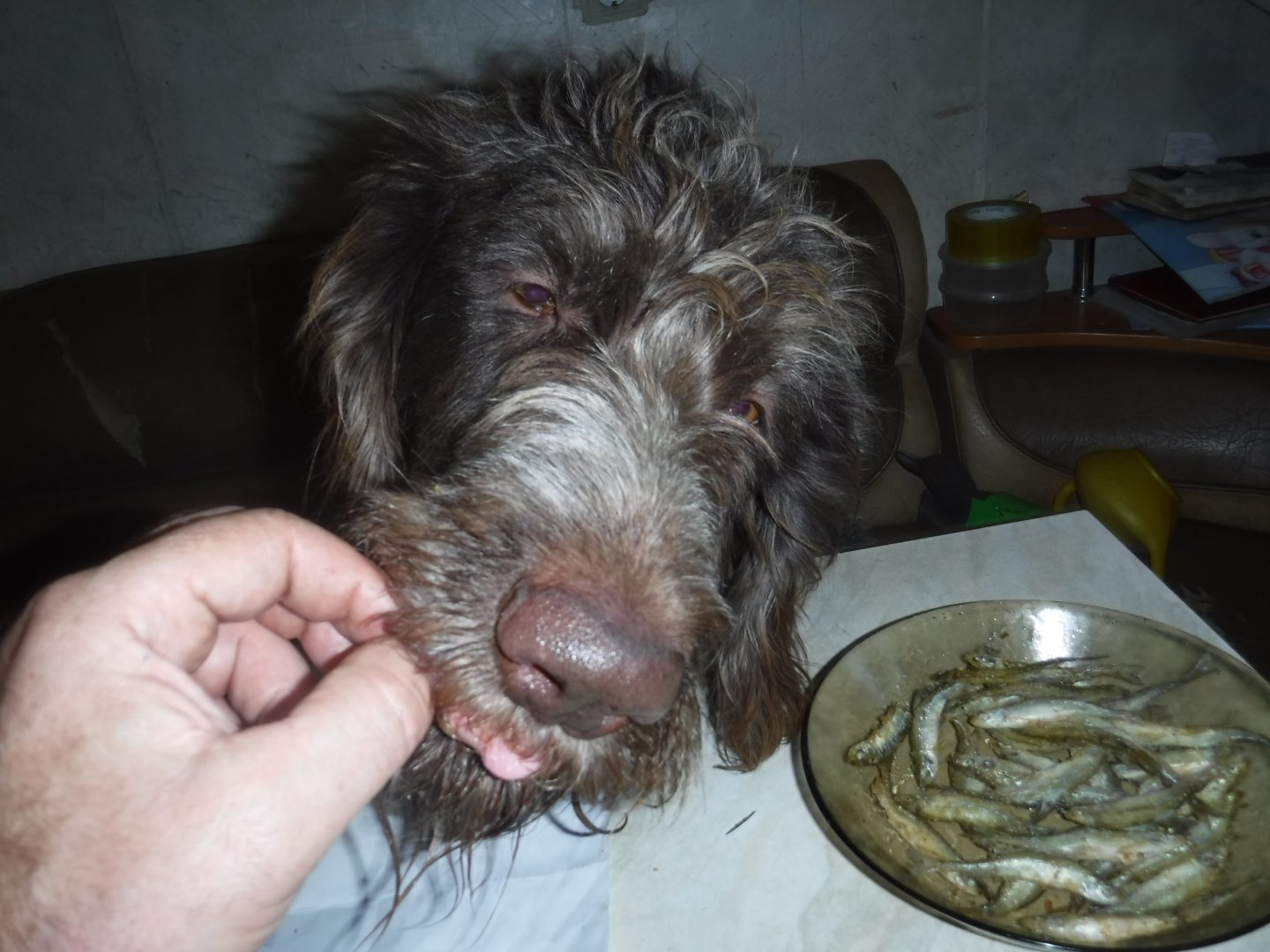 DSCF1254.JPG