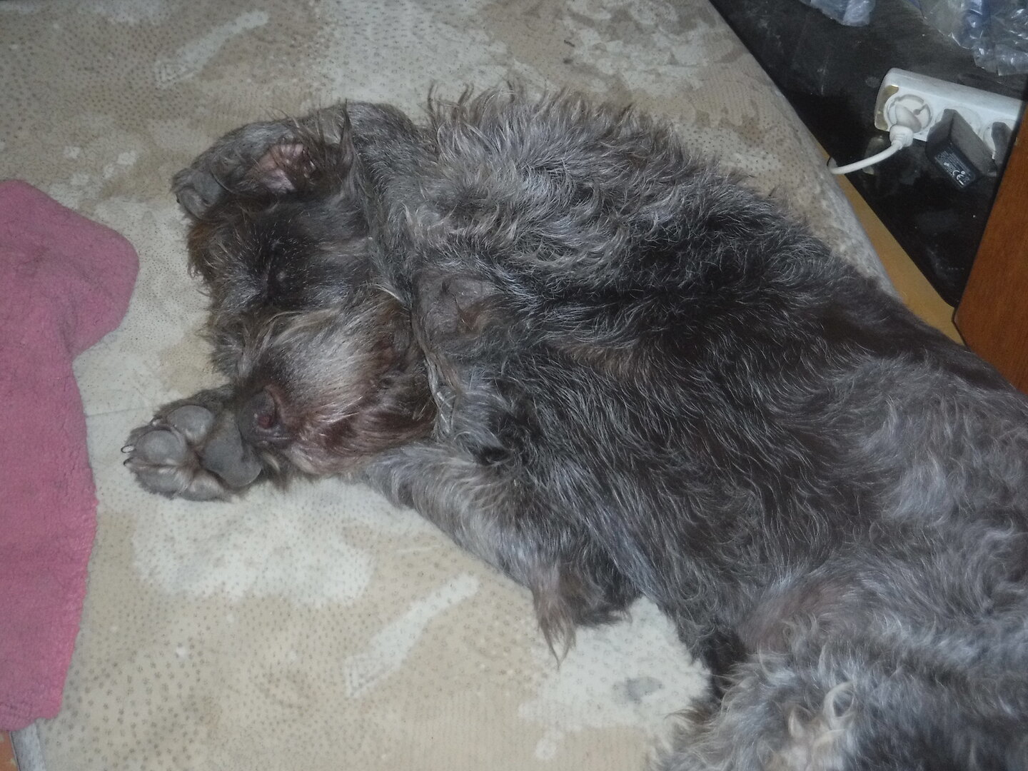 DSCF1255.JPG