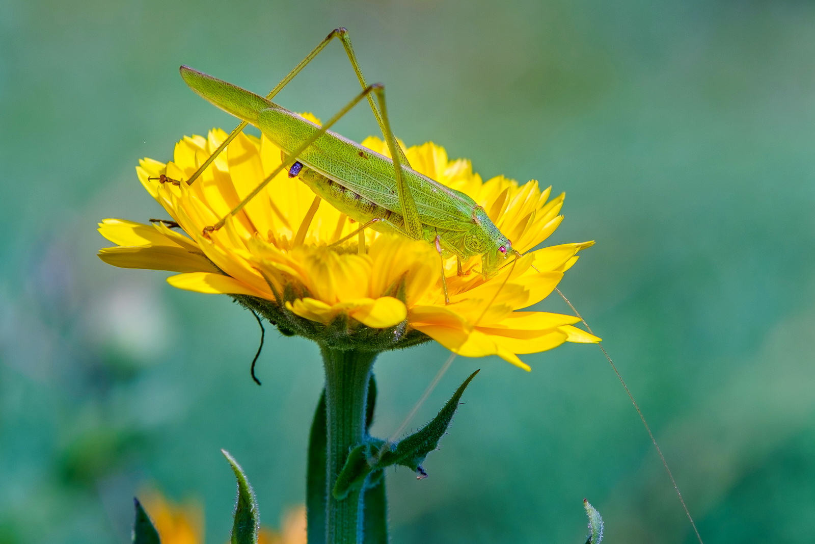 DSCF1258-2.jpg