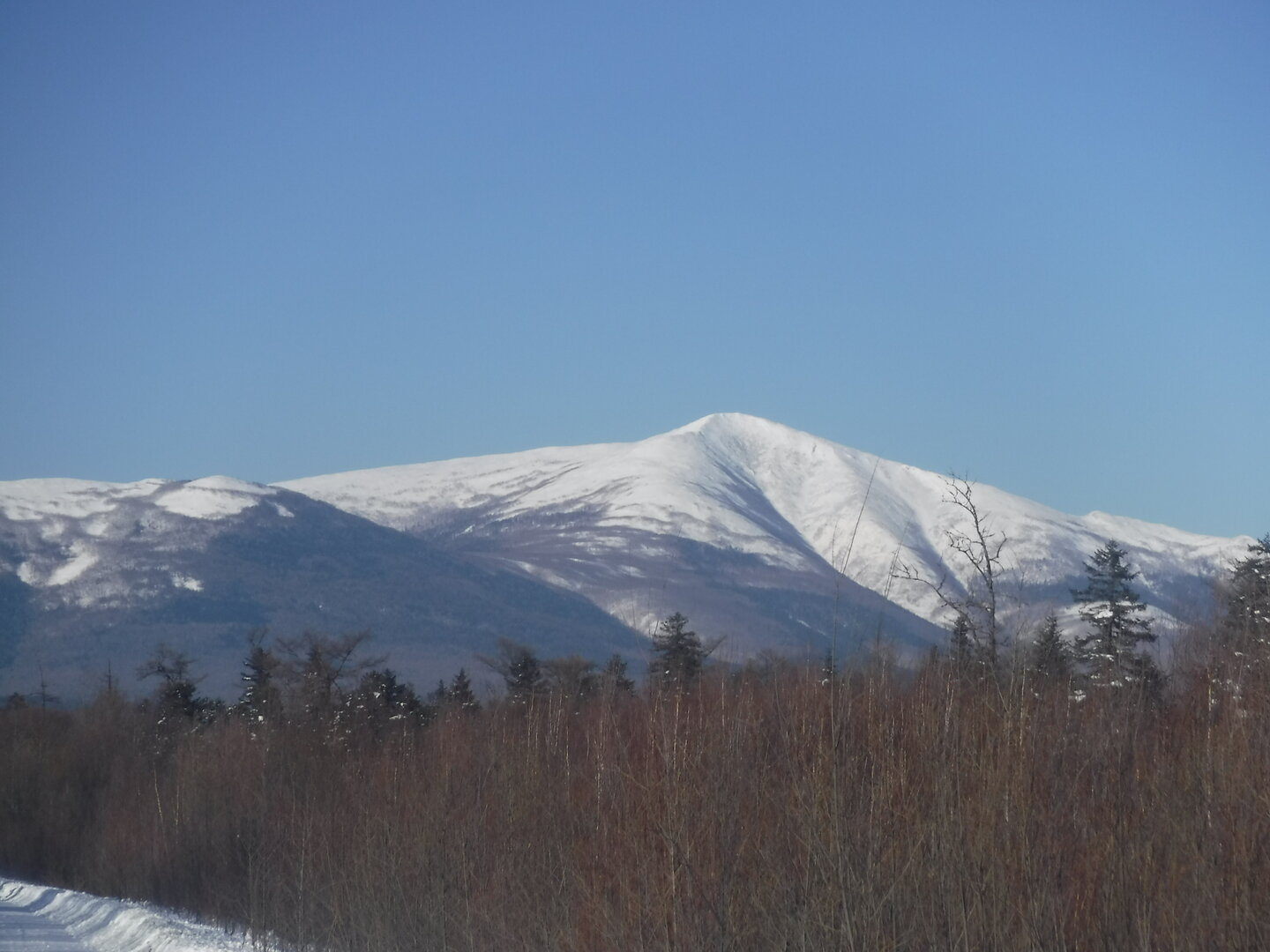 DSCF1266.JPG