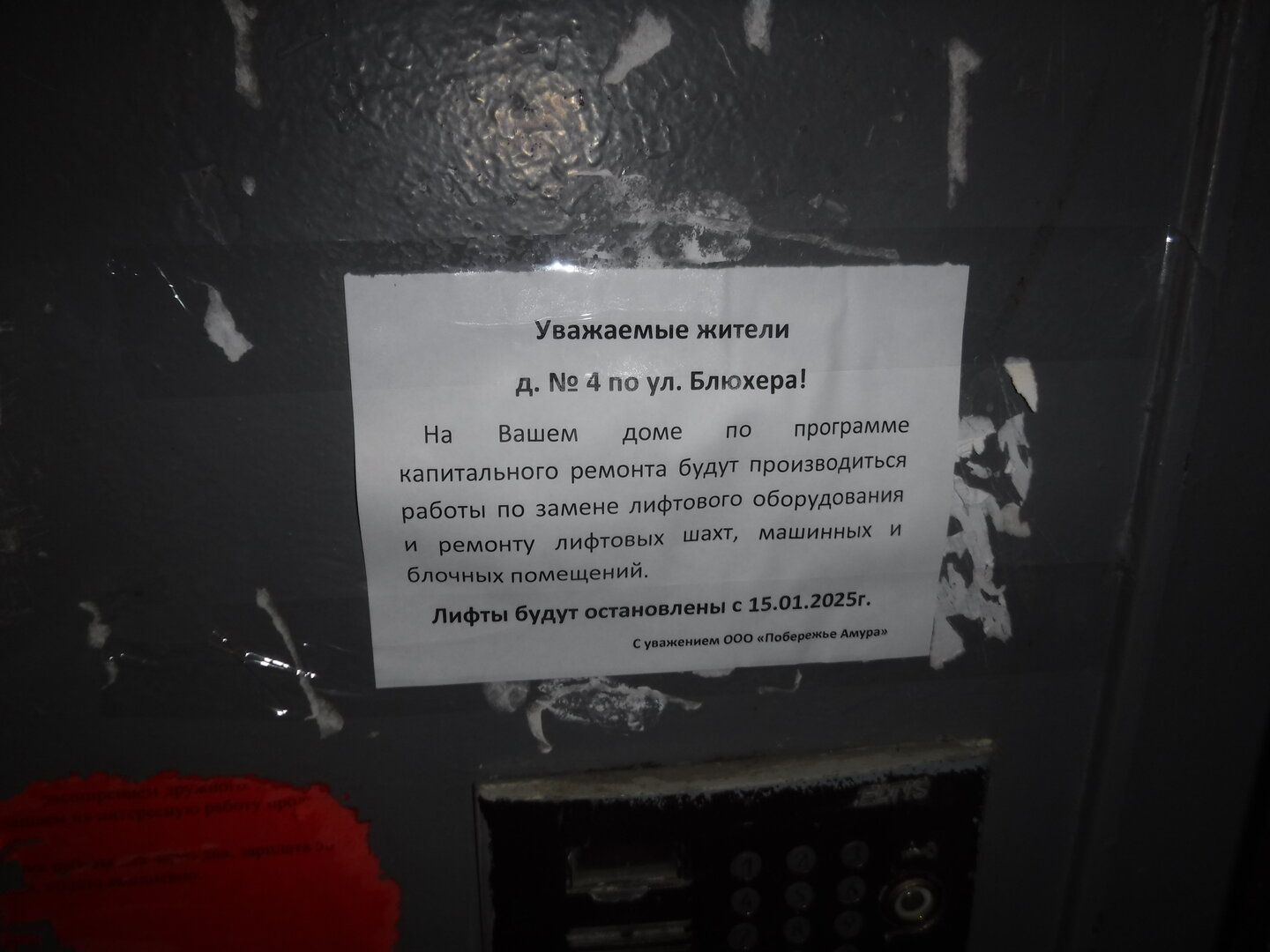 DSCF1271.JPG