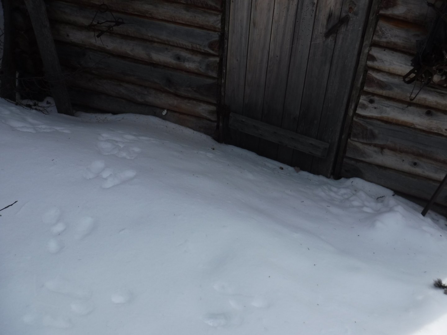 DSCF1301.JPG
