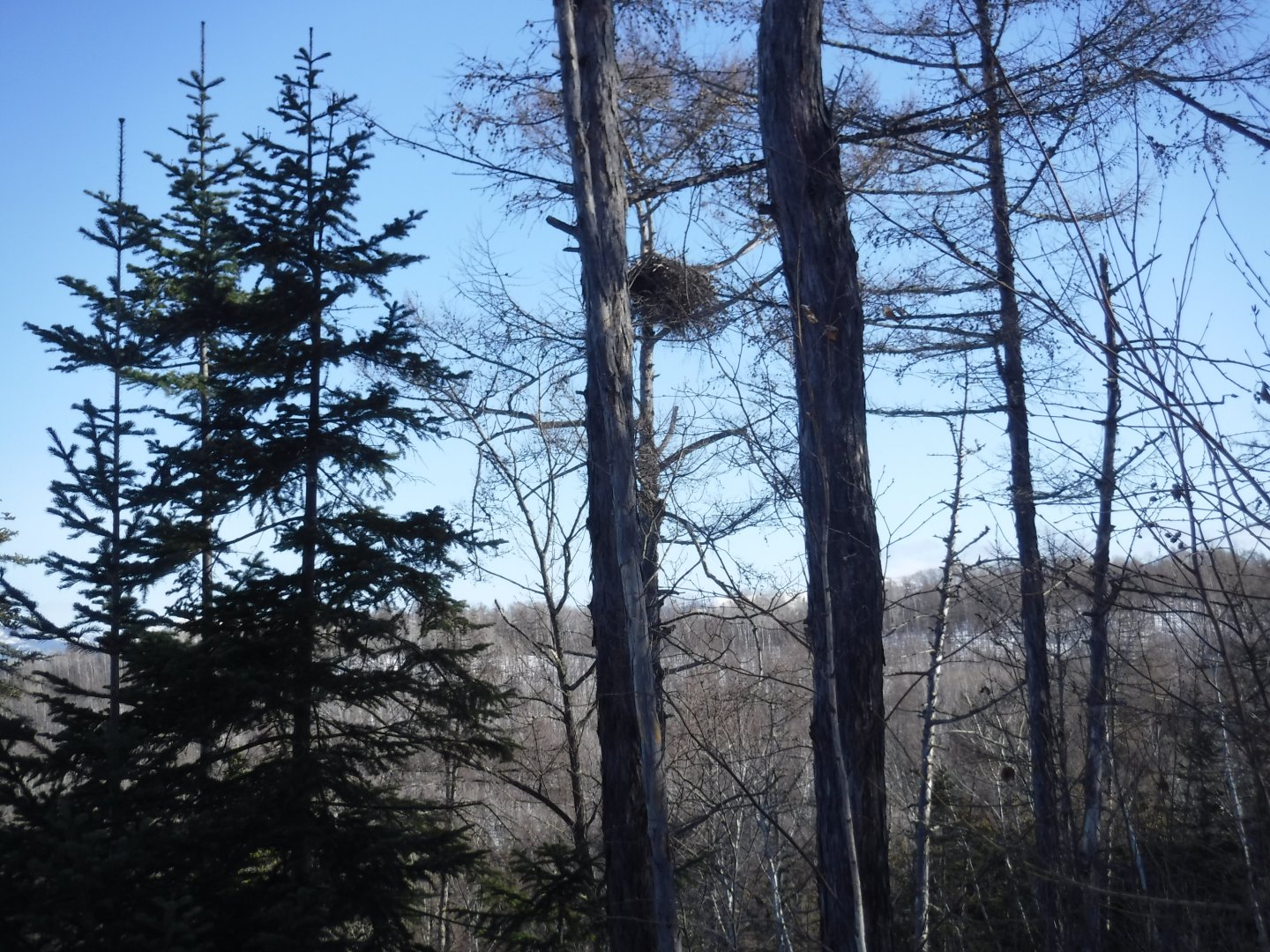 DSCF1331.JPG