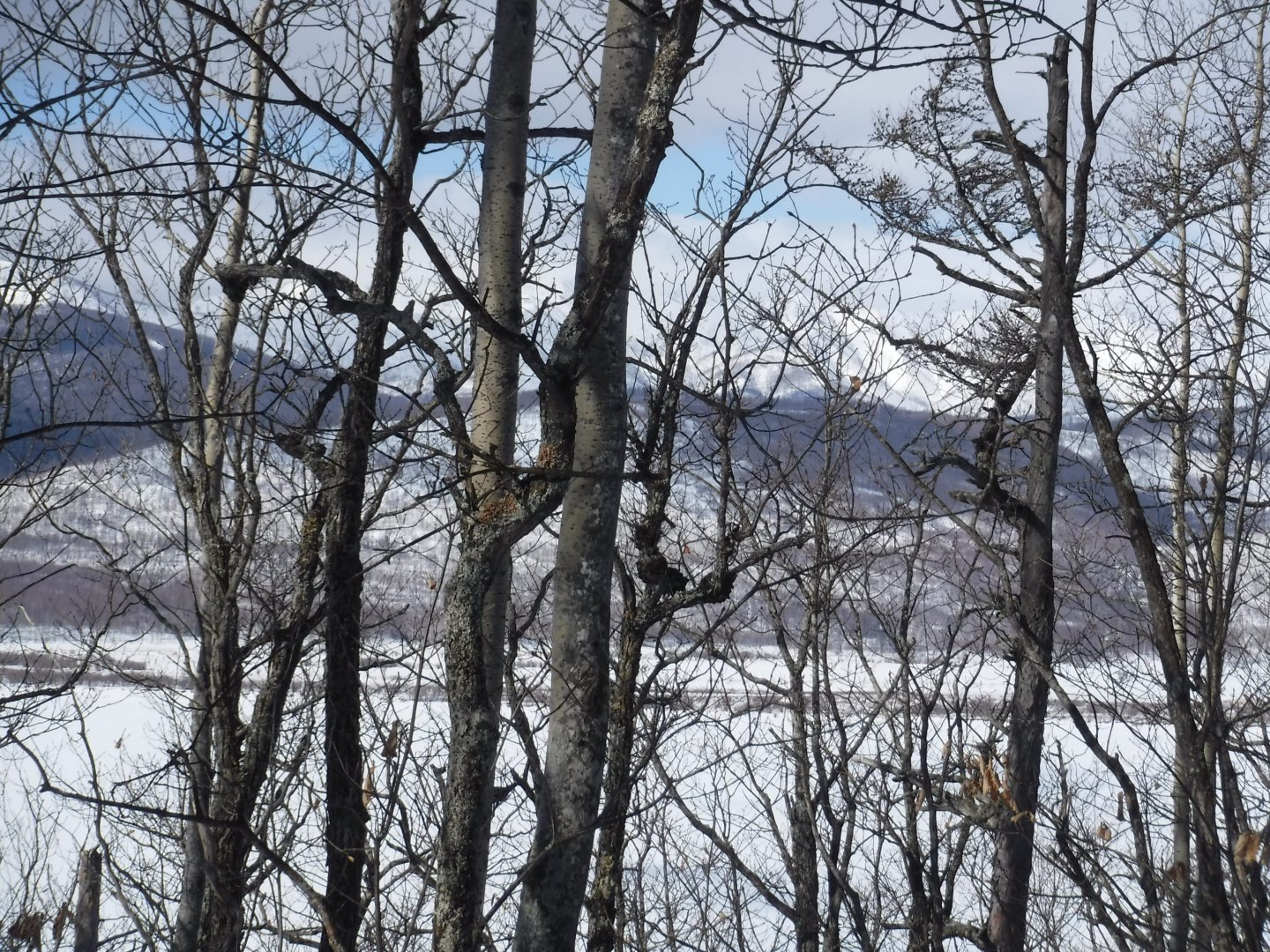 DSCF1336.JPG
