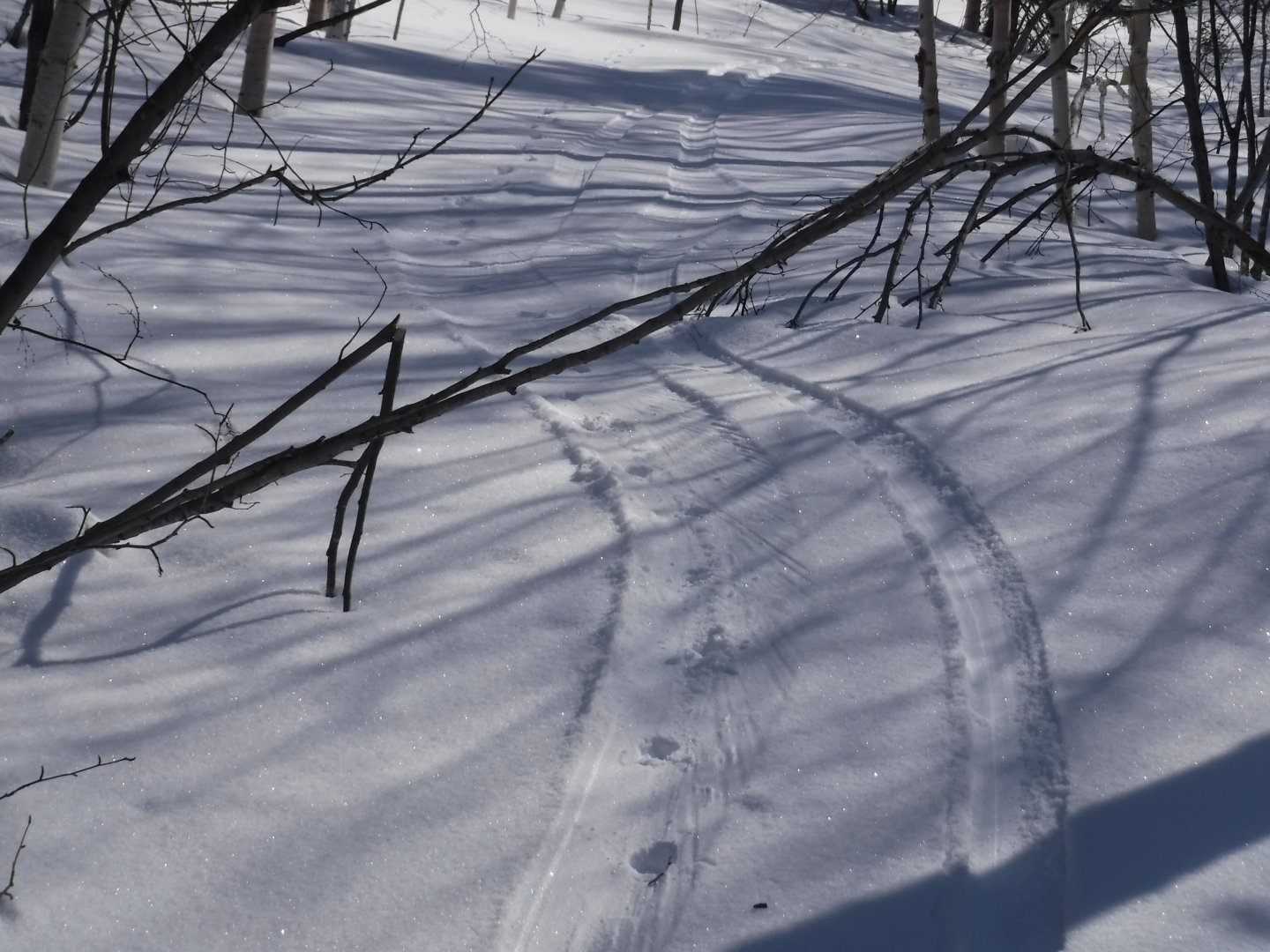 DSCF1343.JPG