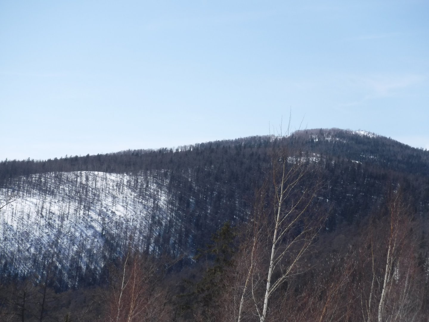 DSCF1344.JPG