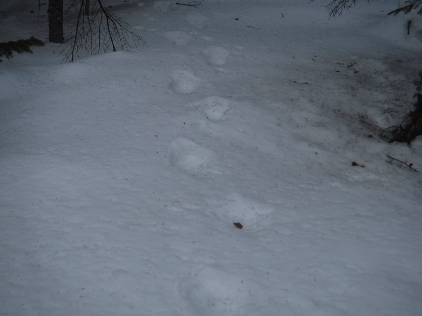 DSCF1373.JPG