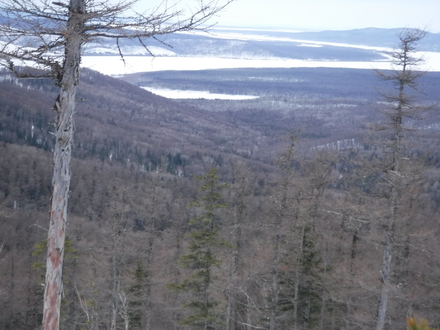 DSCF1374.JPG