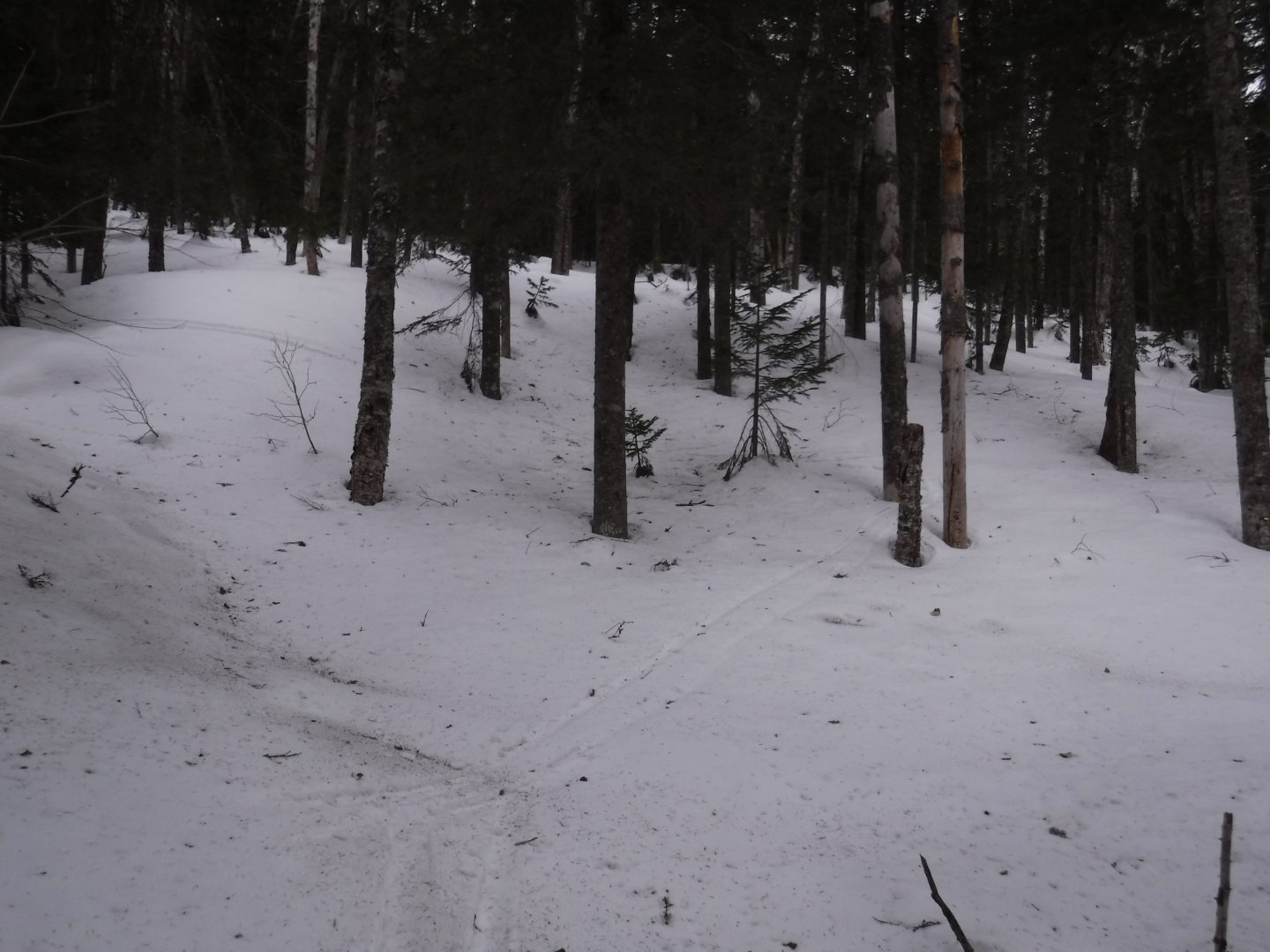 DSCF1378.JPG