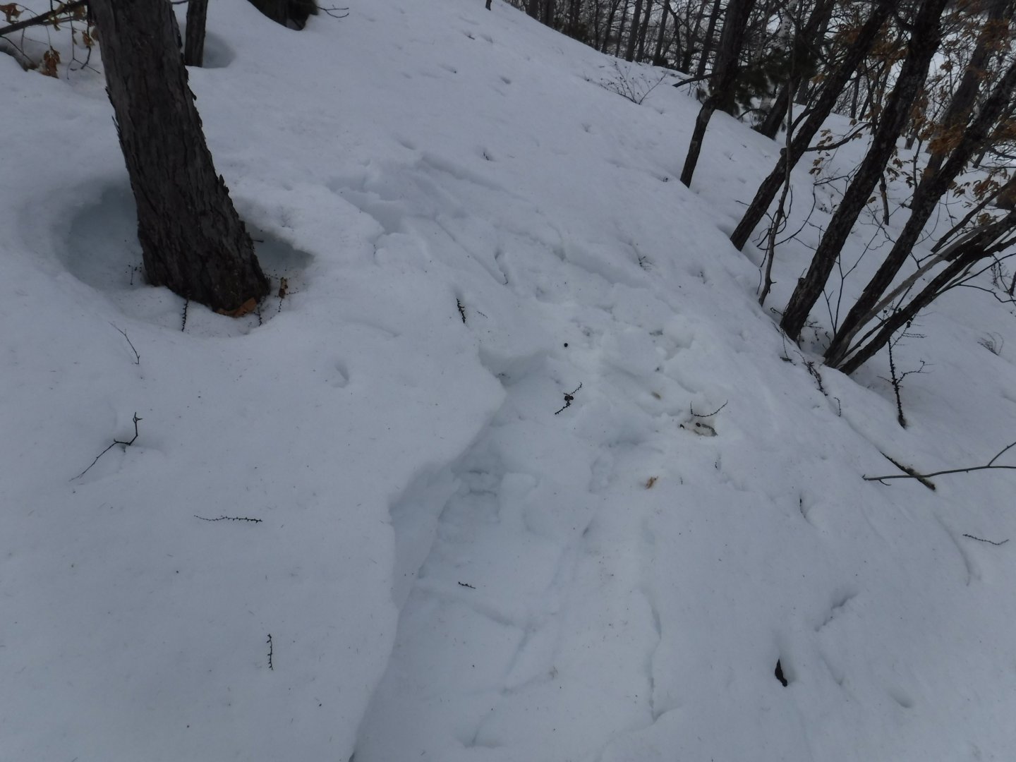 DSCF1389.JPG