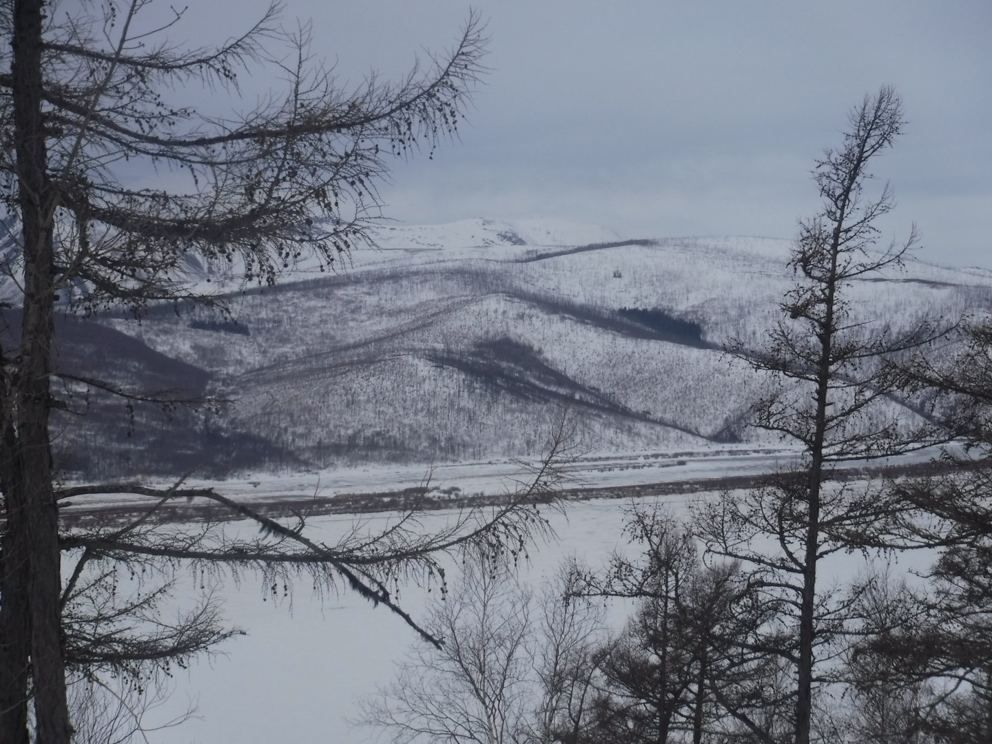 DSCF1403.JPG