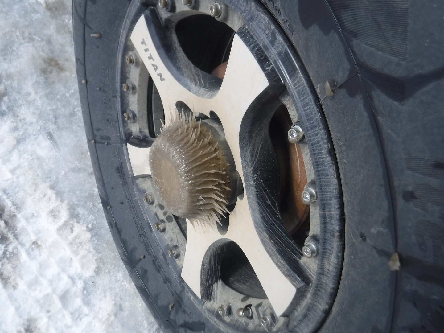 DSCF1403.JPG