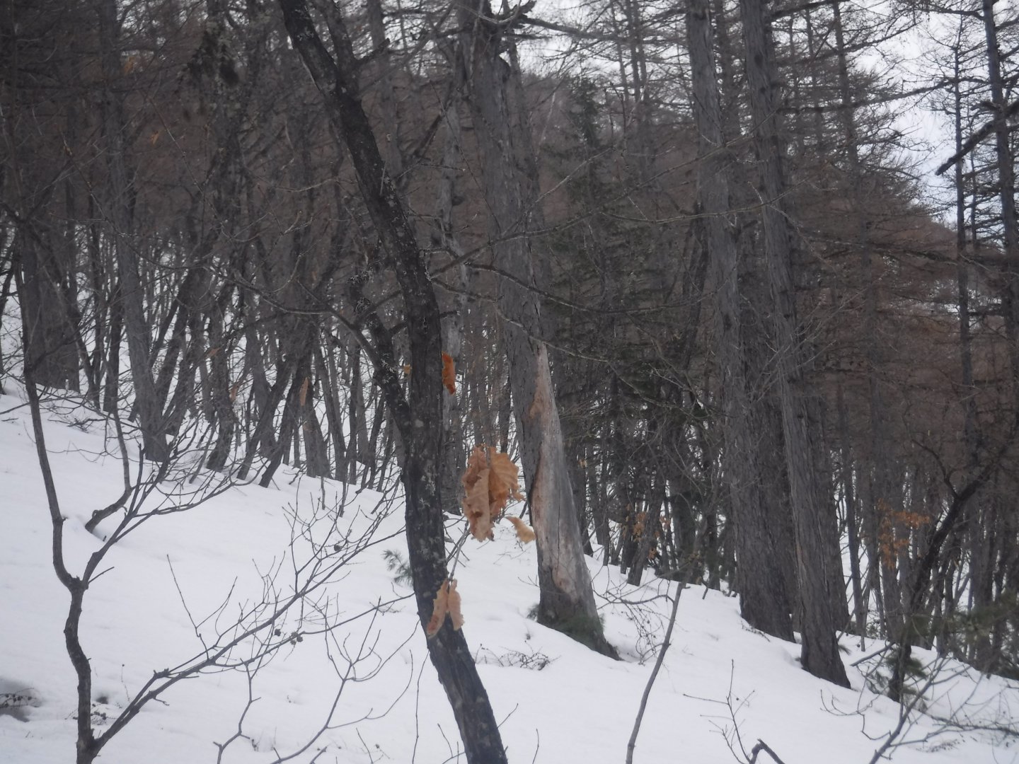 DSCF1405.JPG