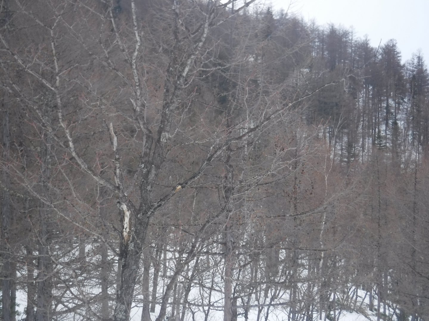 DSCF1407.JPG