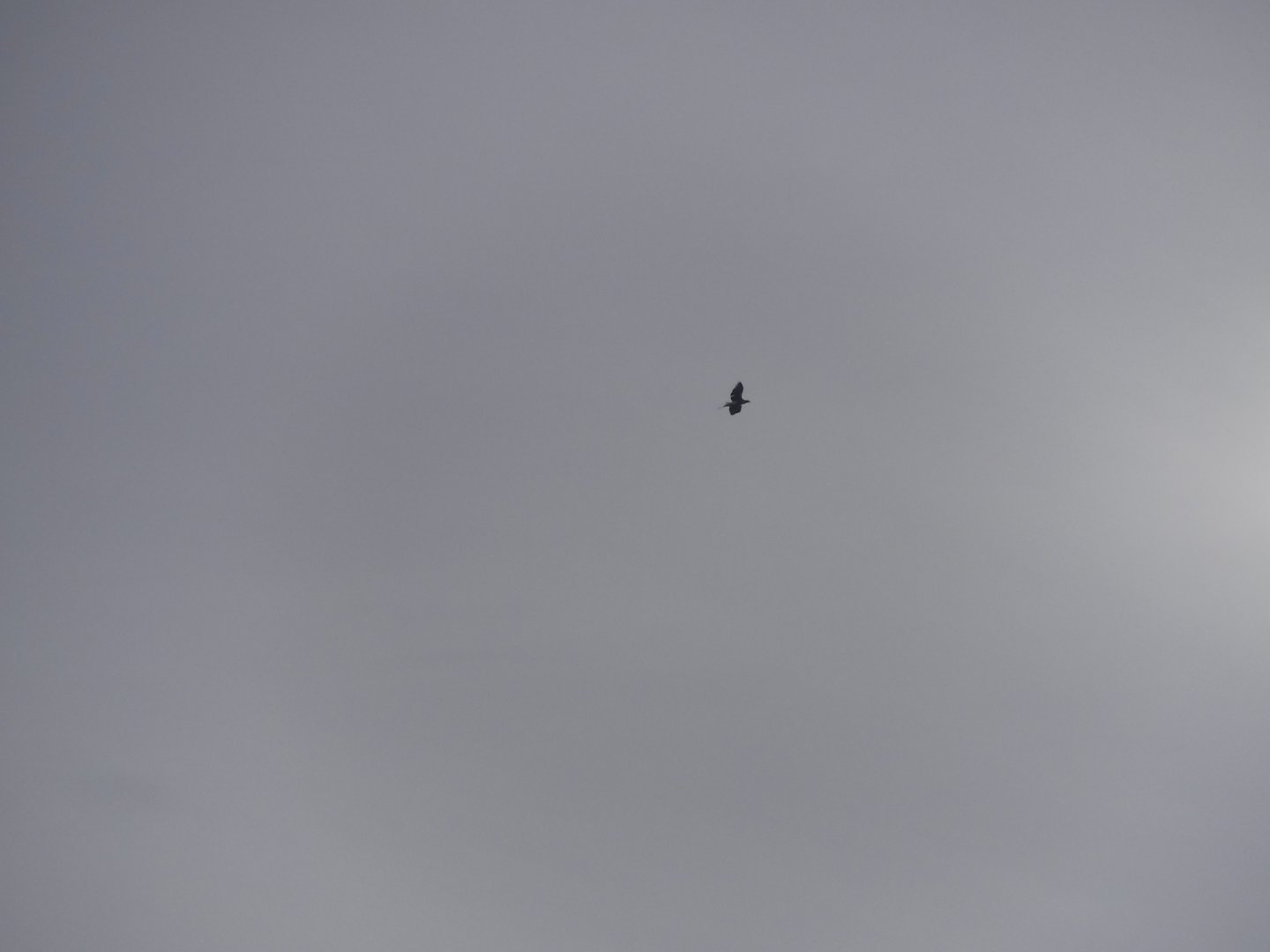 DSCF1408.JPG