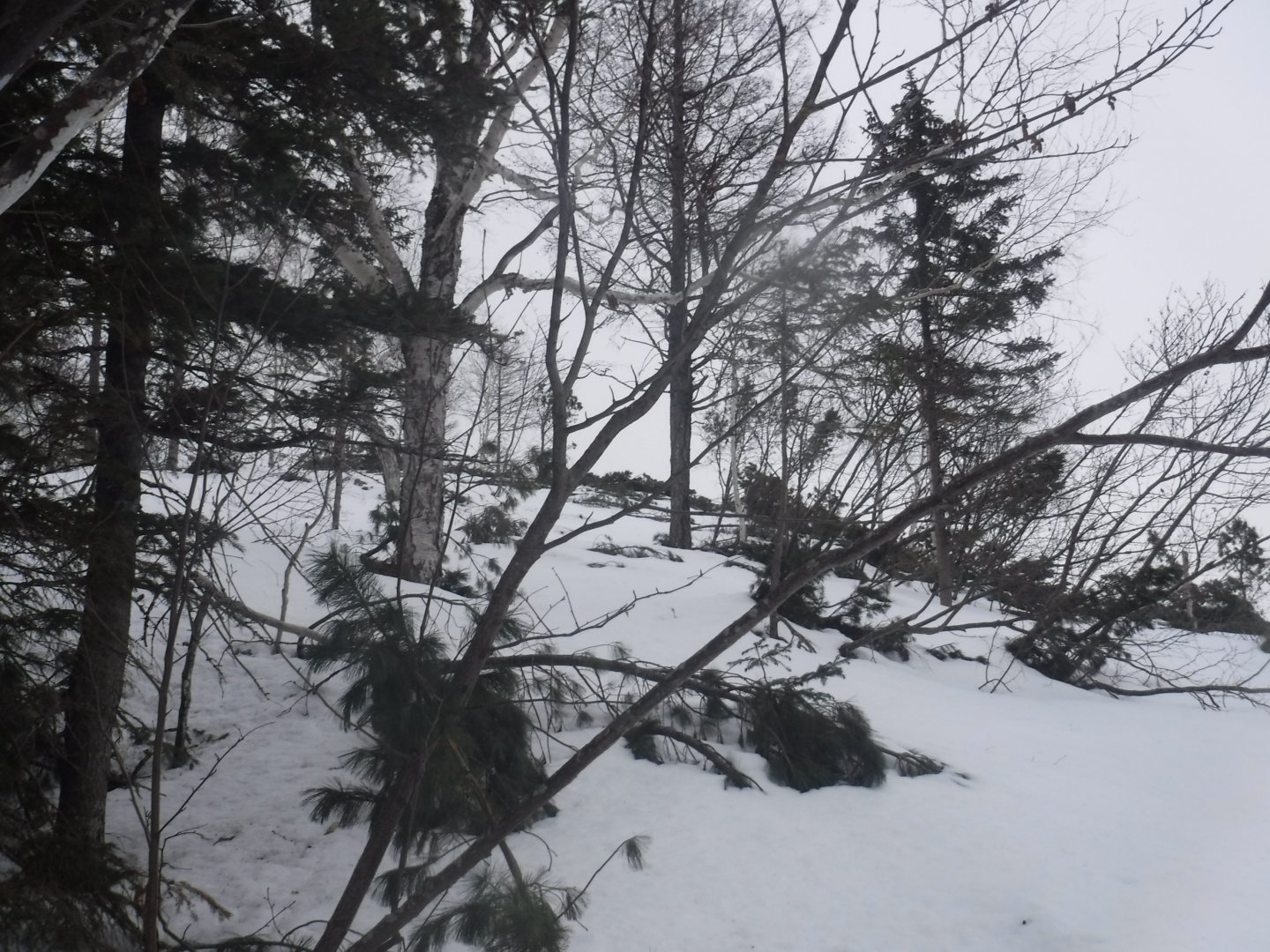 DSCF1410.JPG