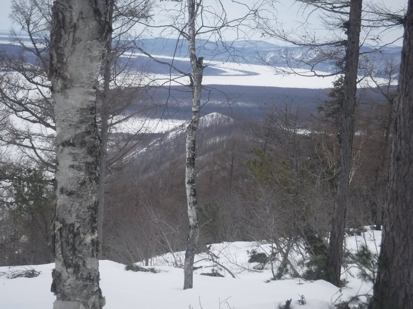 DSCF1411.JPG