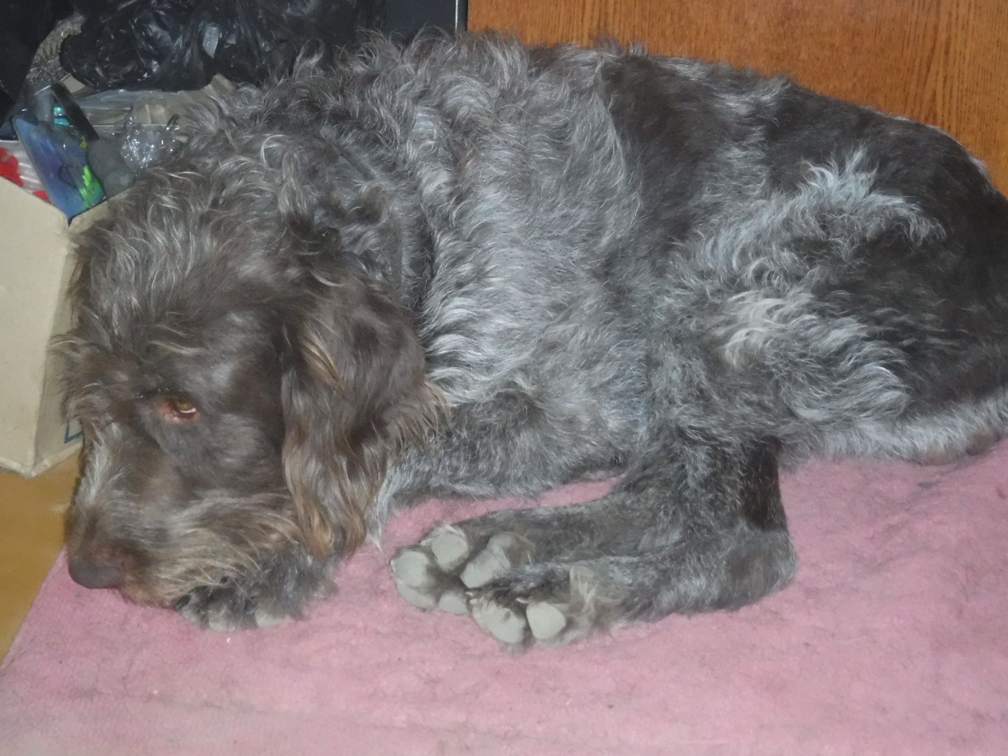 DSCF1417.JPG