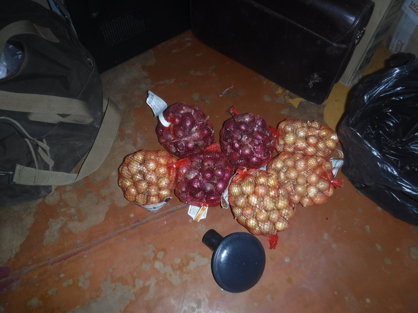 DSCF1420.JPG