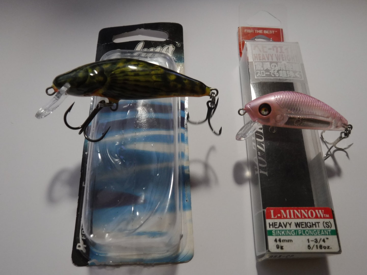 DSCF1436.JPG DSCF1436.JPG