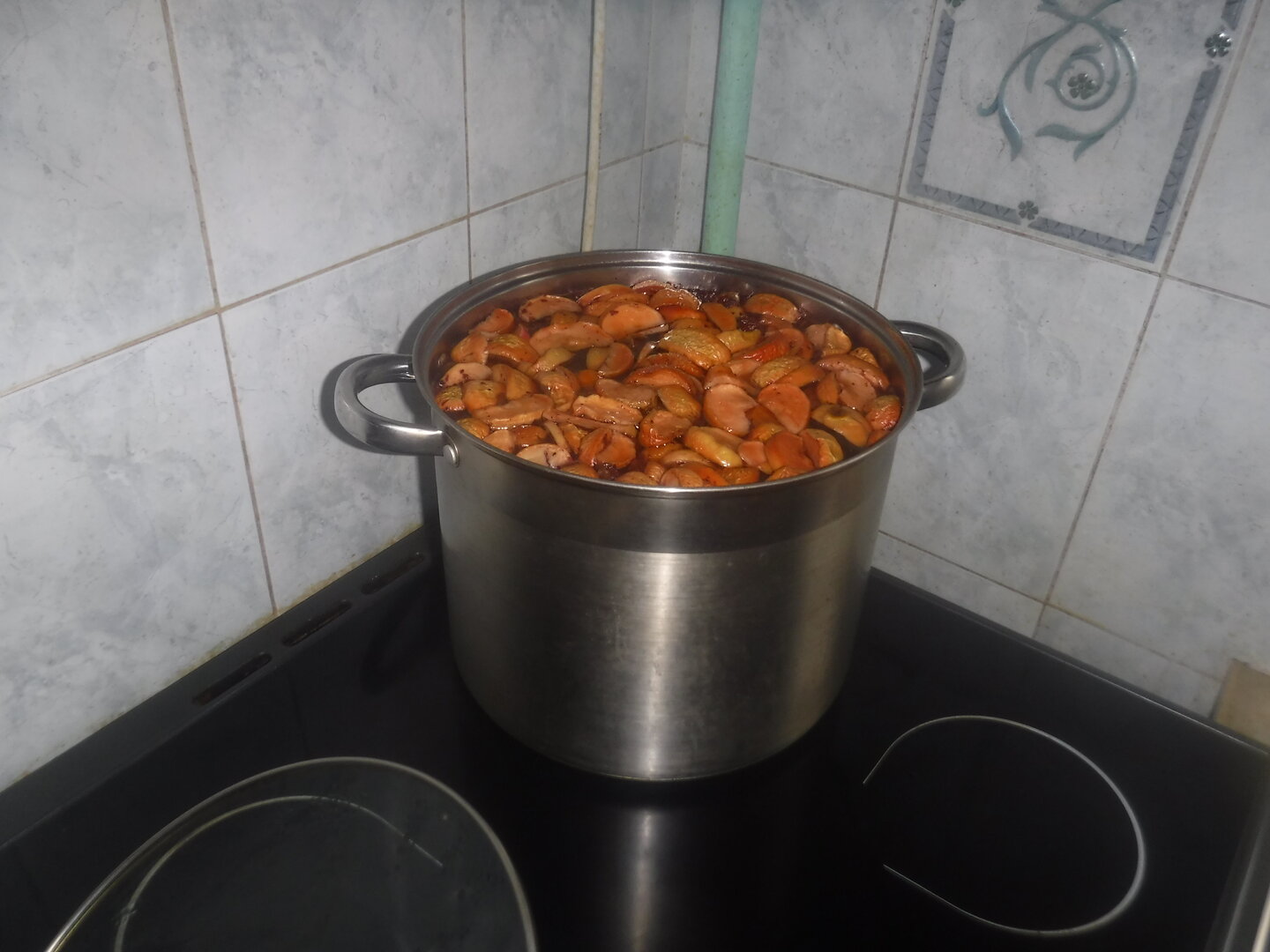 DSCF1441.JPG