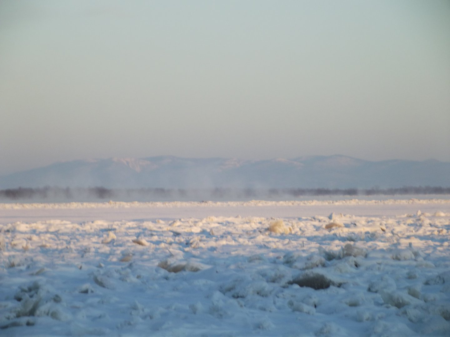 DSCF1458.JPG