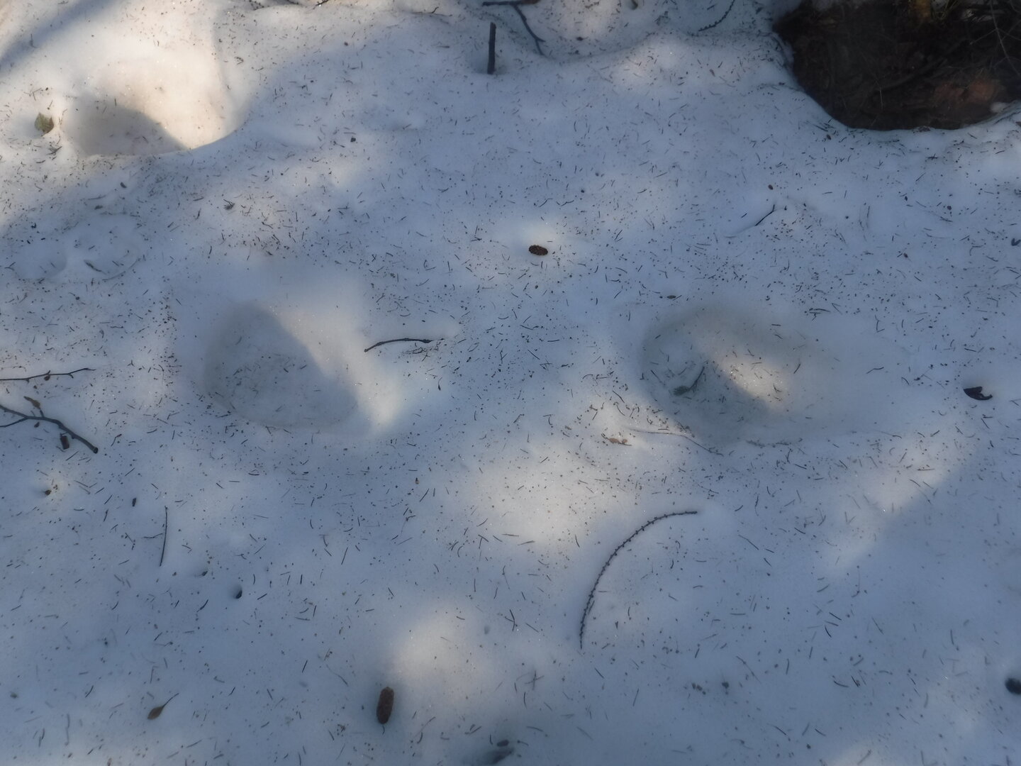 DSCF1461.JPG