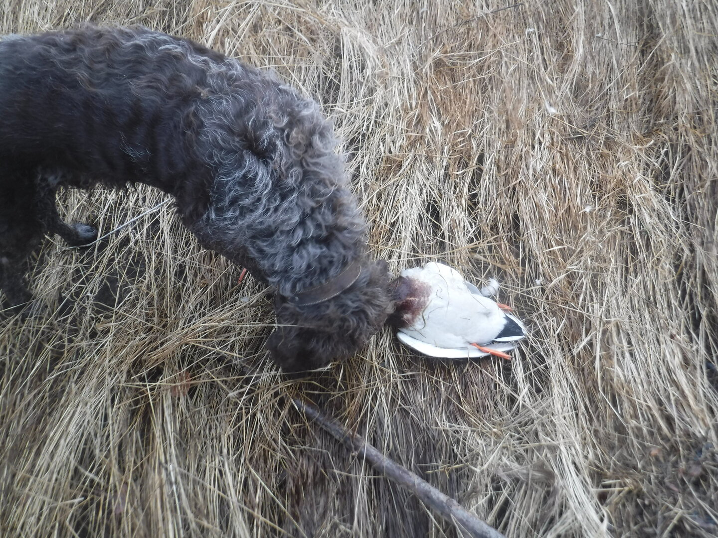 DSCF1506.JPG
