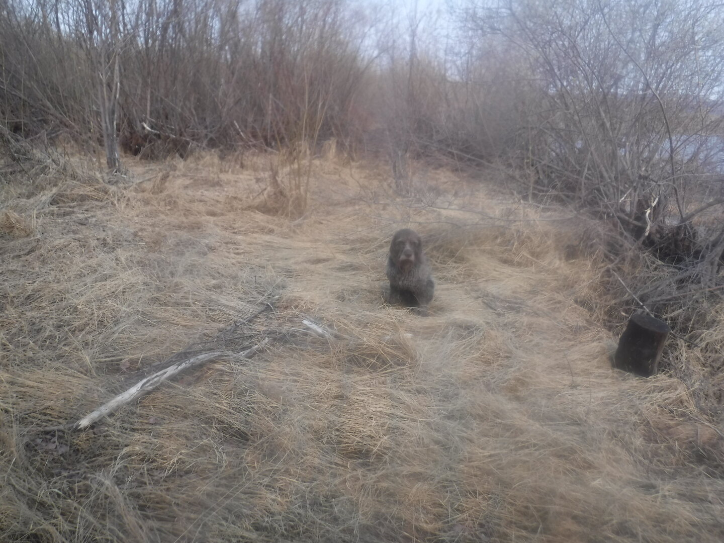DSCF1509.JPG