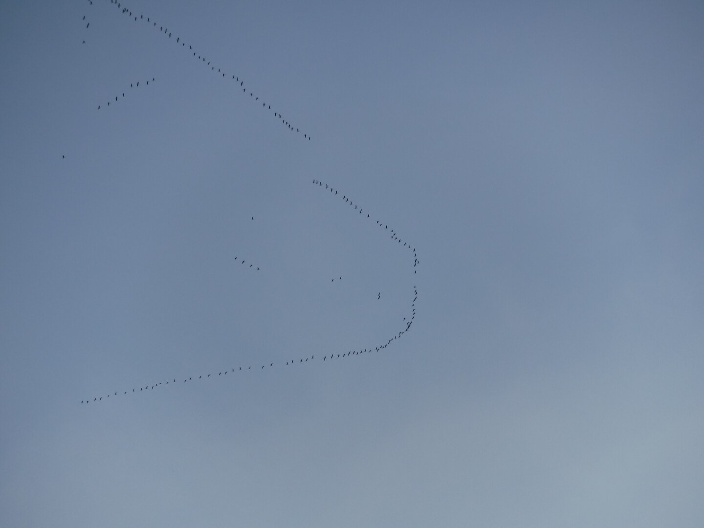 DSCF1510.JPG