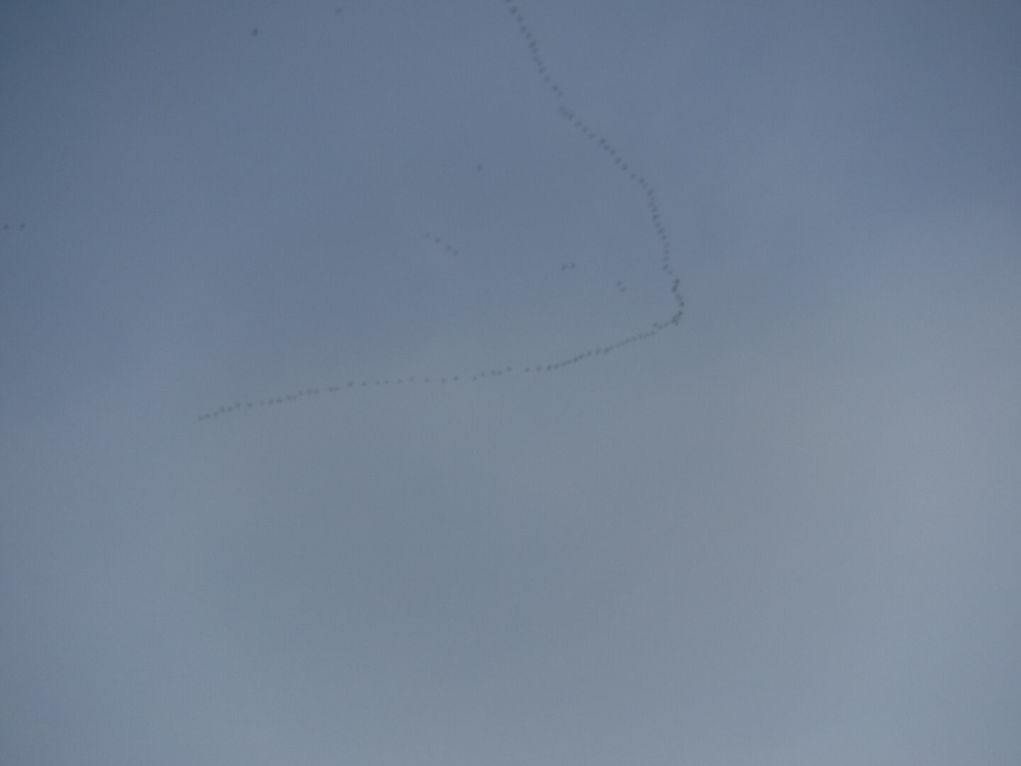 DSCF1511.JPG