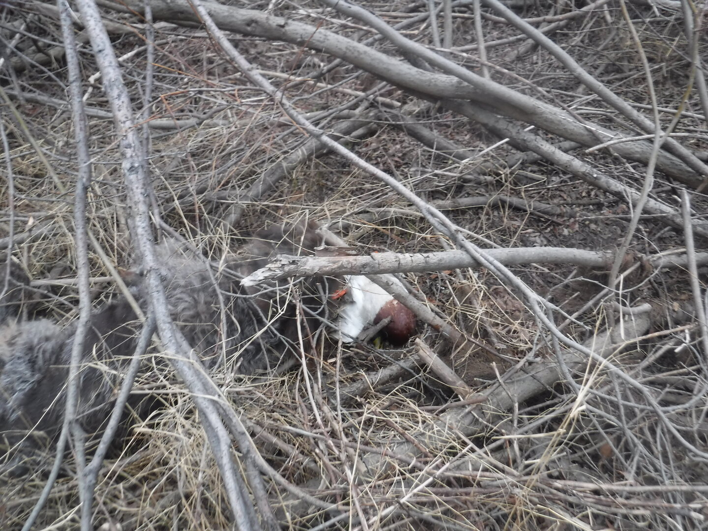 DSCF1514.JPG