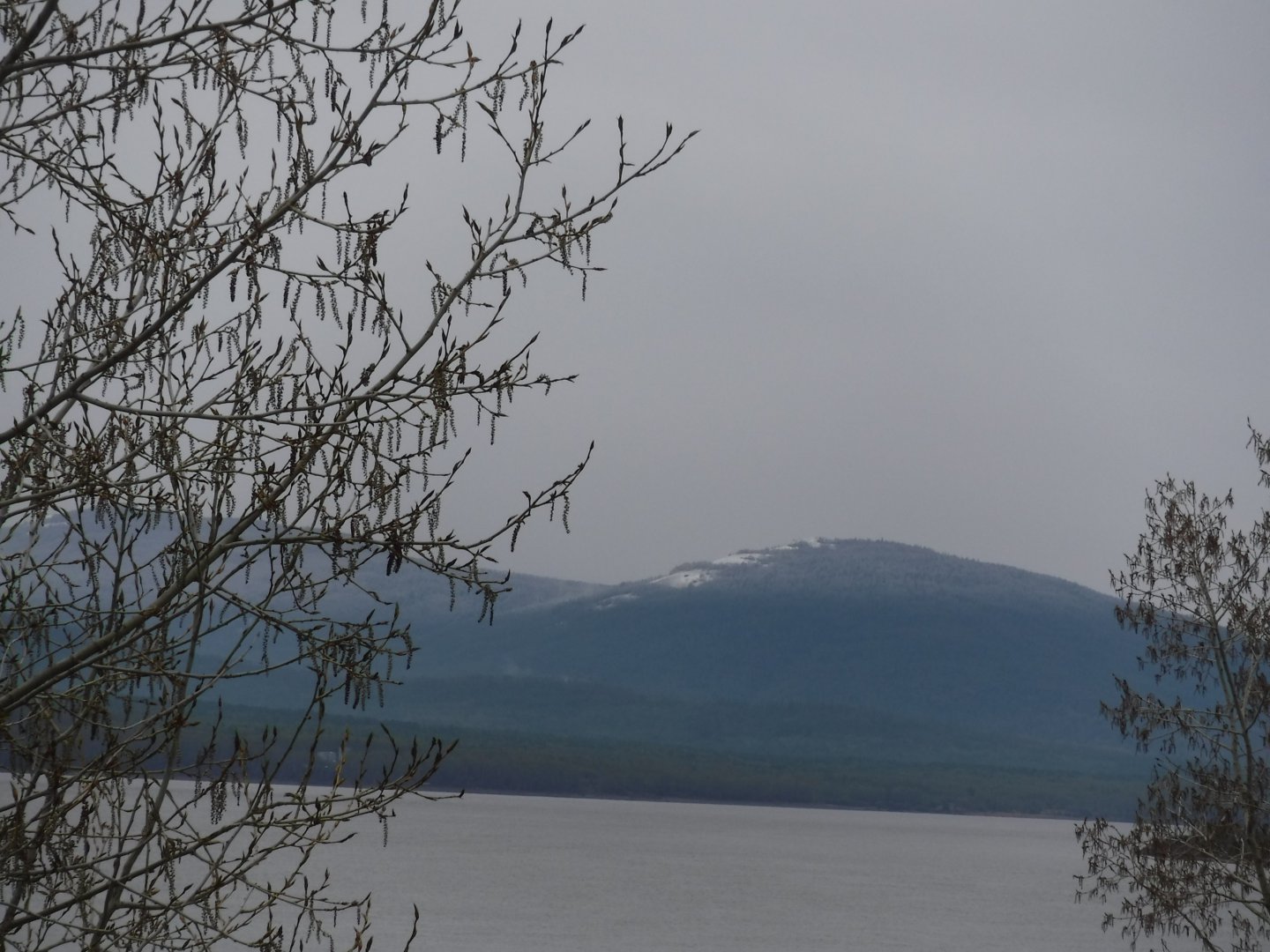 DSCF1517.JPG