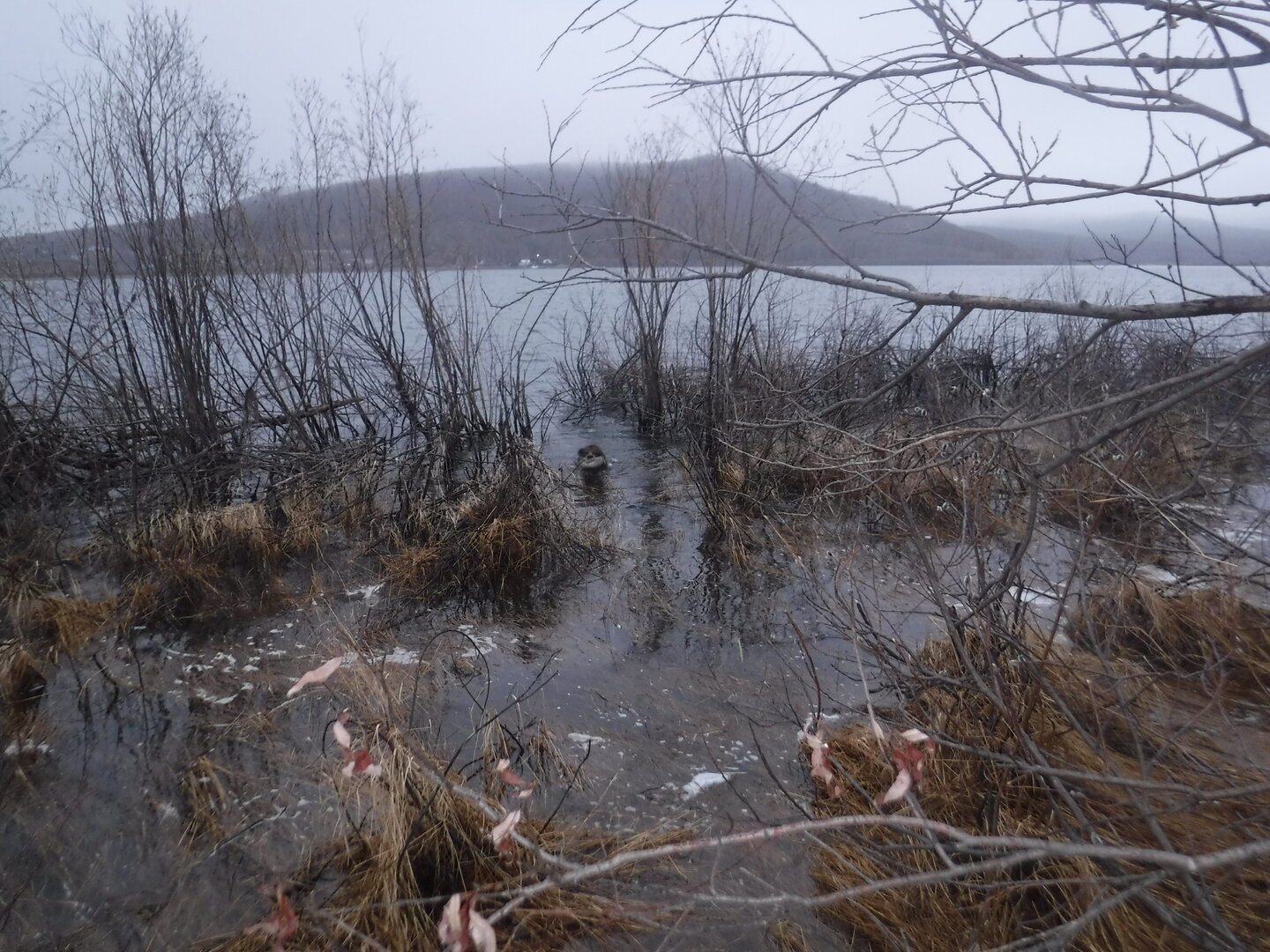 DSCF1517.JPG