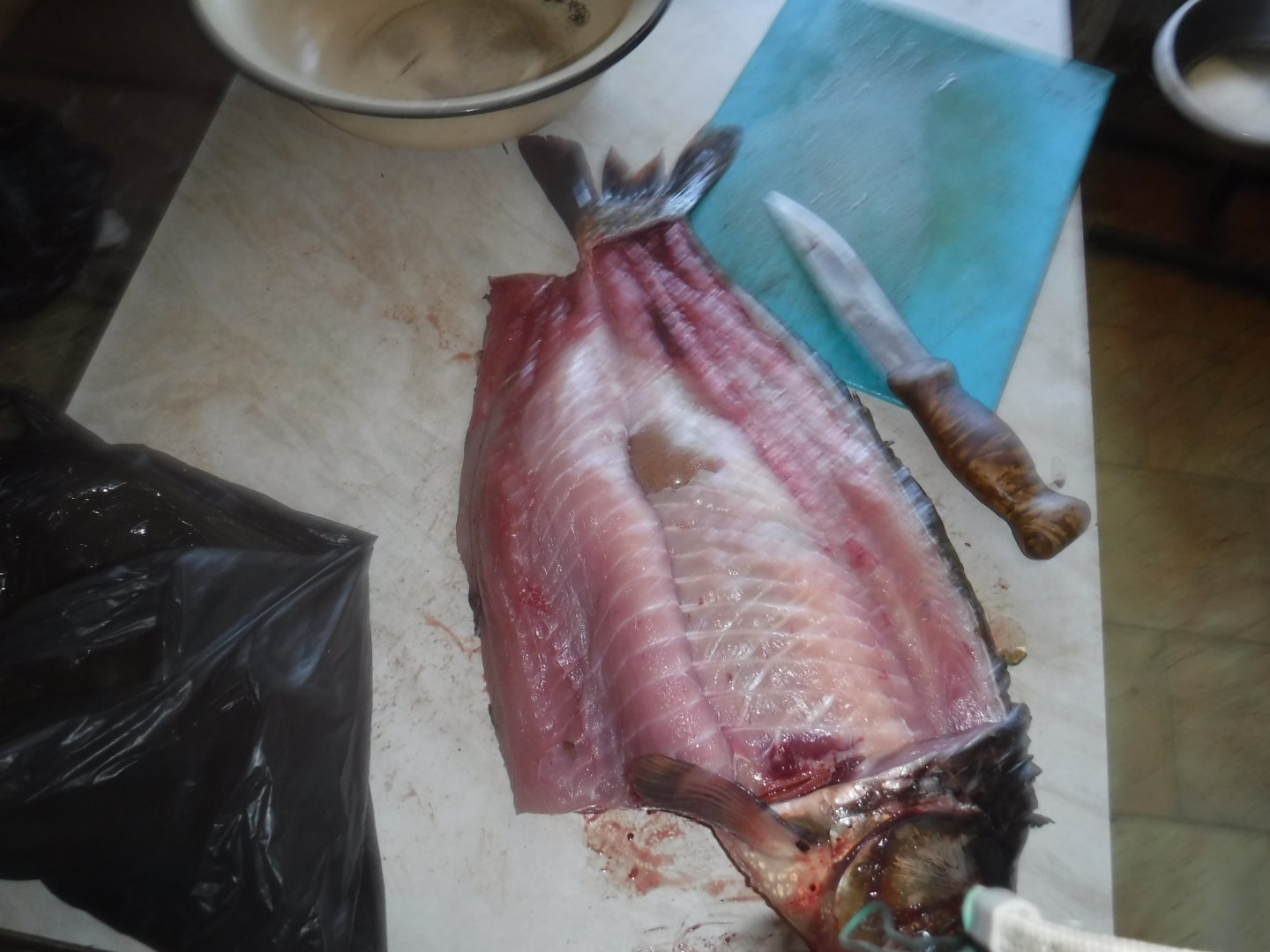 DSCF1525.JPG